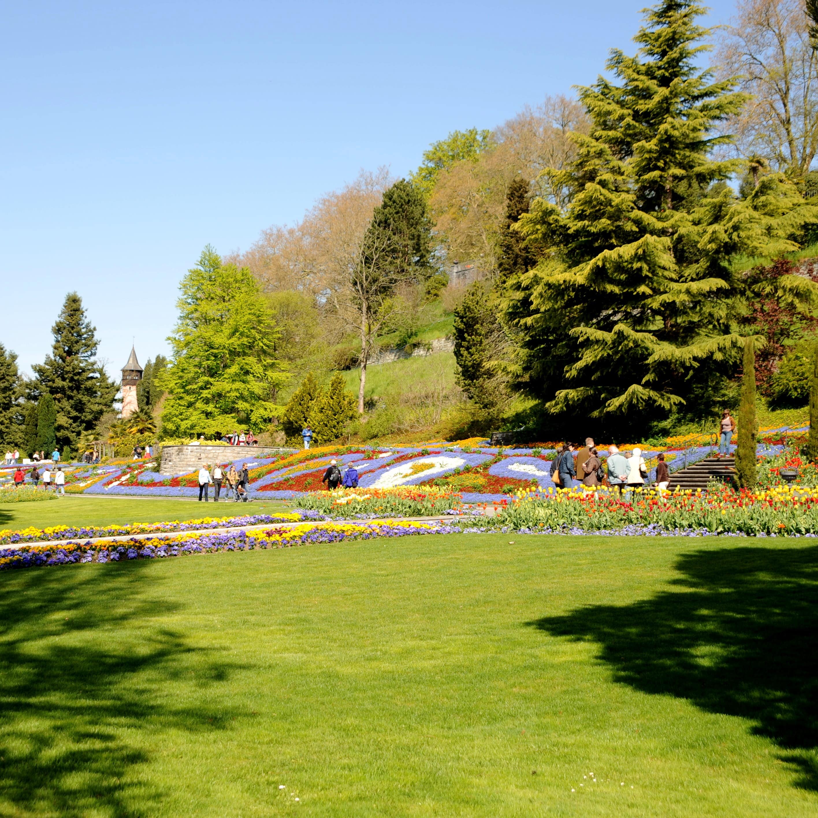 Leute spazieren durch eine blühende Parkanlage am Bodensee. Es ist Frühling, die Sonne scheint. 