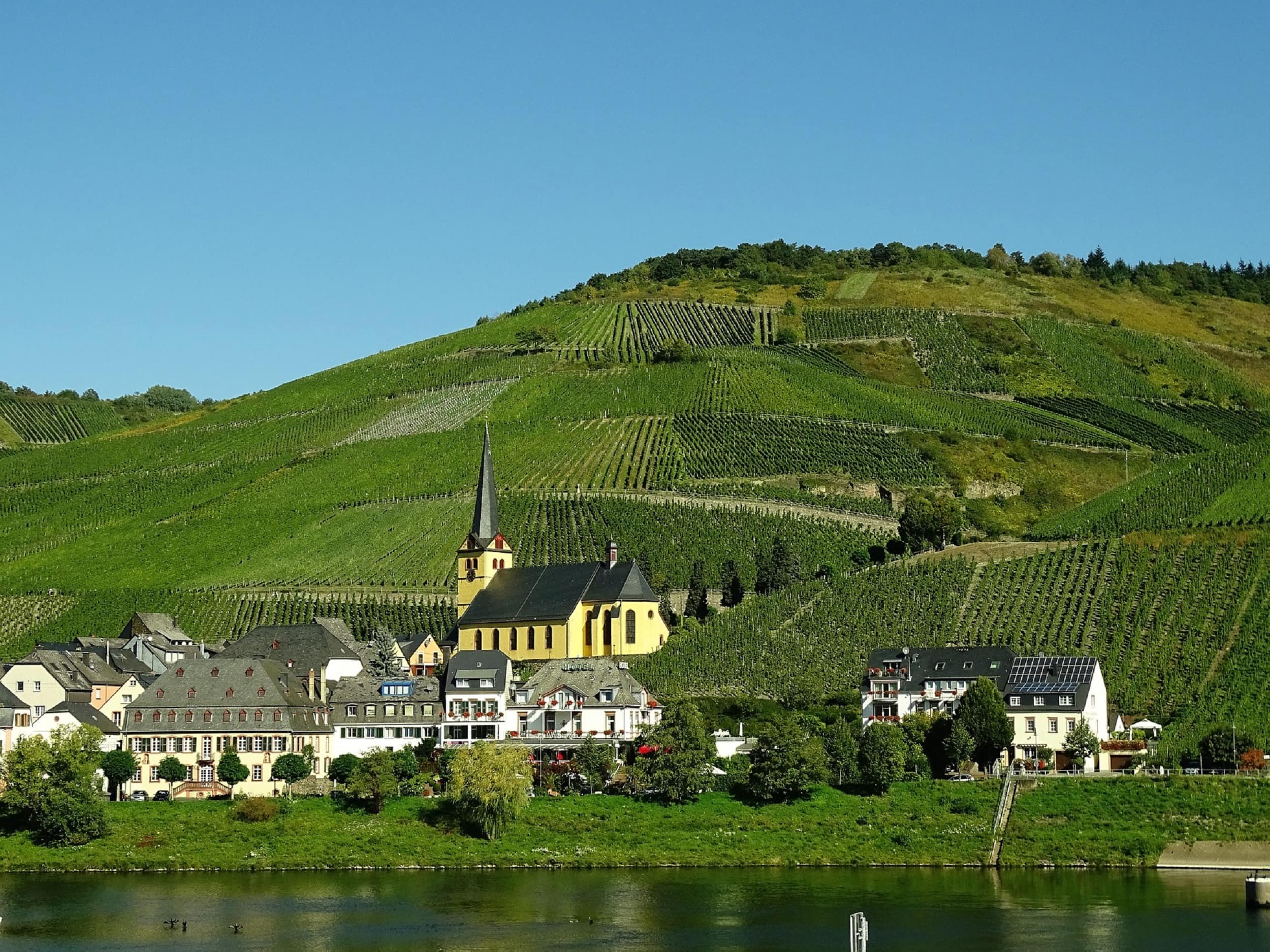 Ihre Ferienwohnung an der Mosel – Wein und Wasser