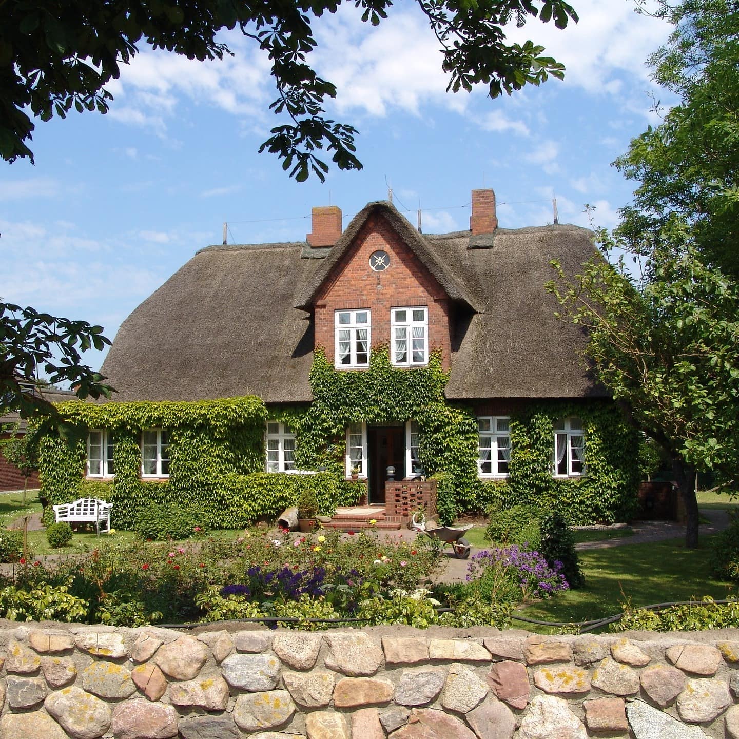 Ein typisches Friesenhaus mit Reetdach, die Wände sind mit Efeu bewachsen; in Garten blühen Blumen.