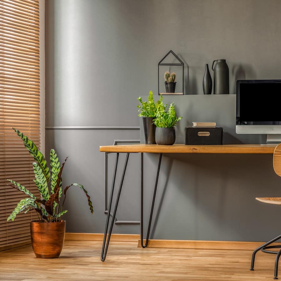 Master the art of interior design