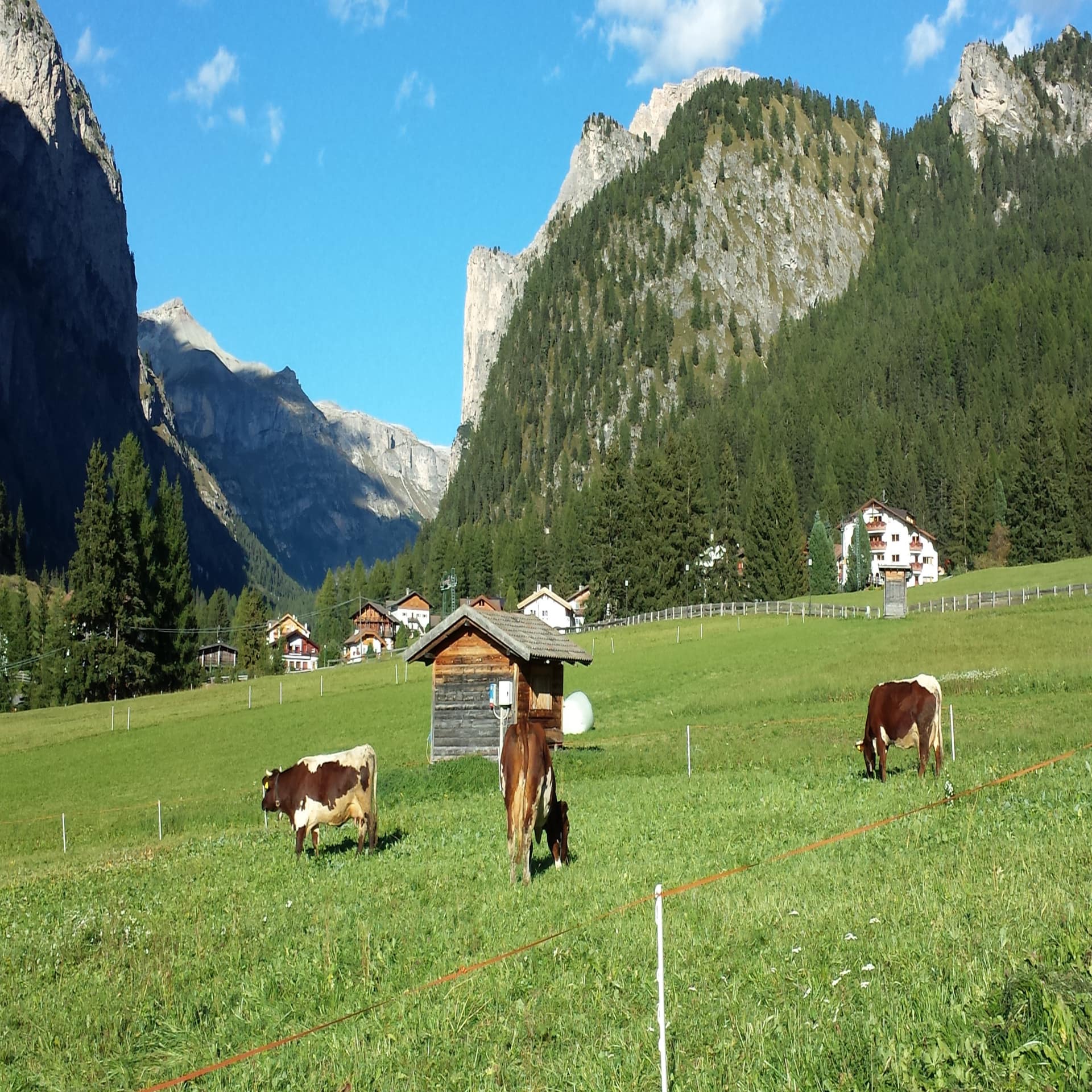 Seitenansicht: Bauernhof mit Scheune und einem Vorplatz.