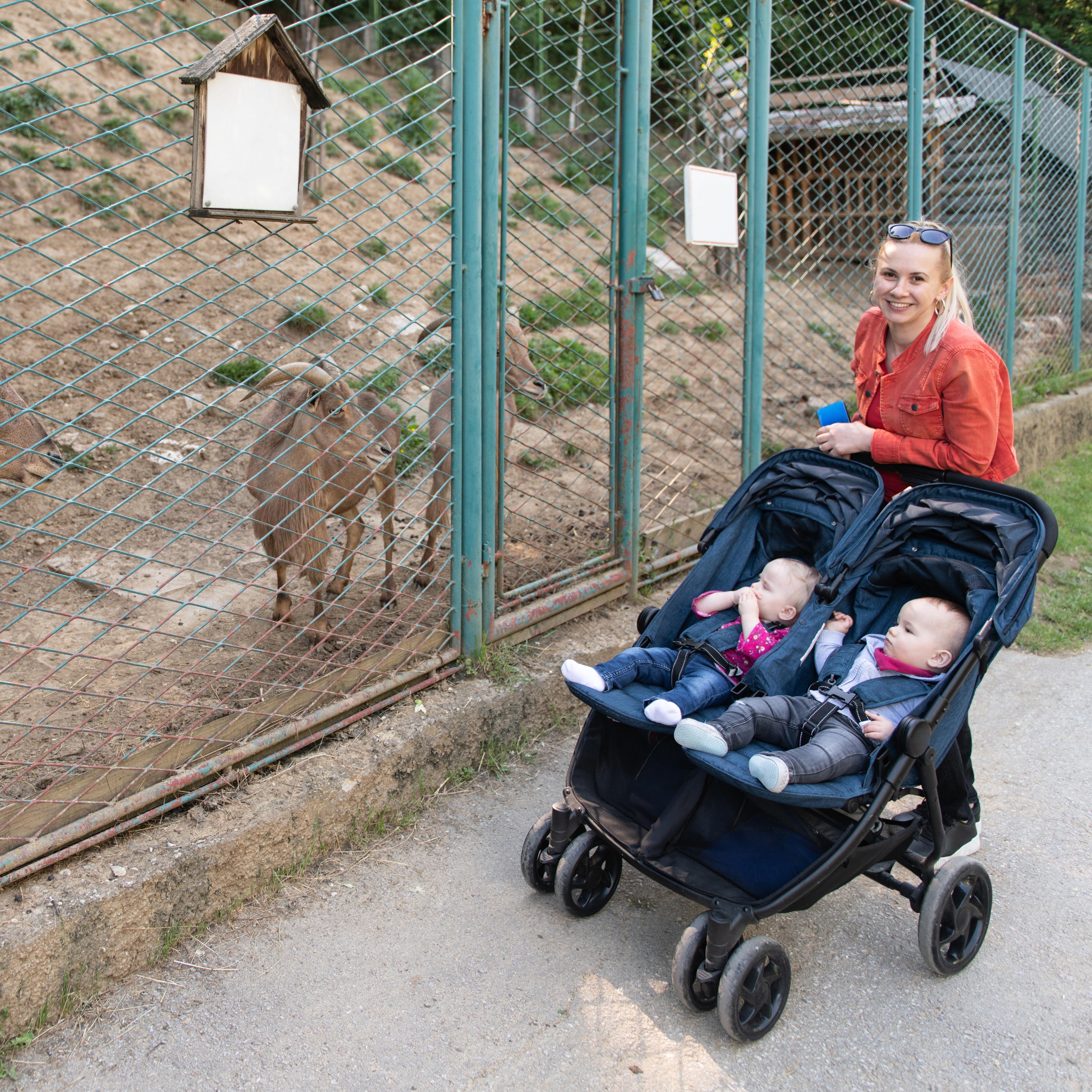 Eine Mutter mit 2 Babys im Zwillingswagen vor einem Gehege mit Ziegen.