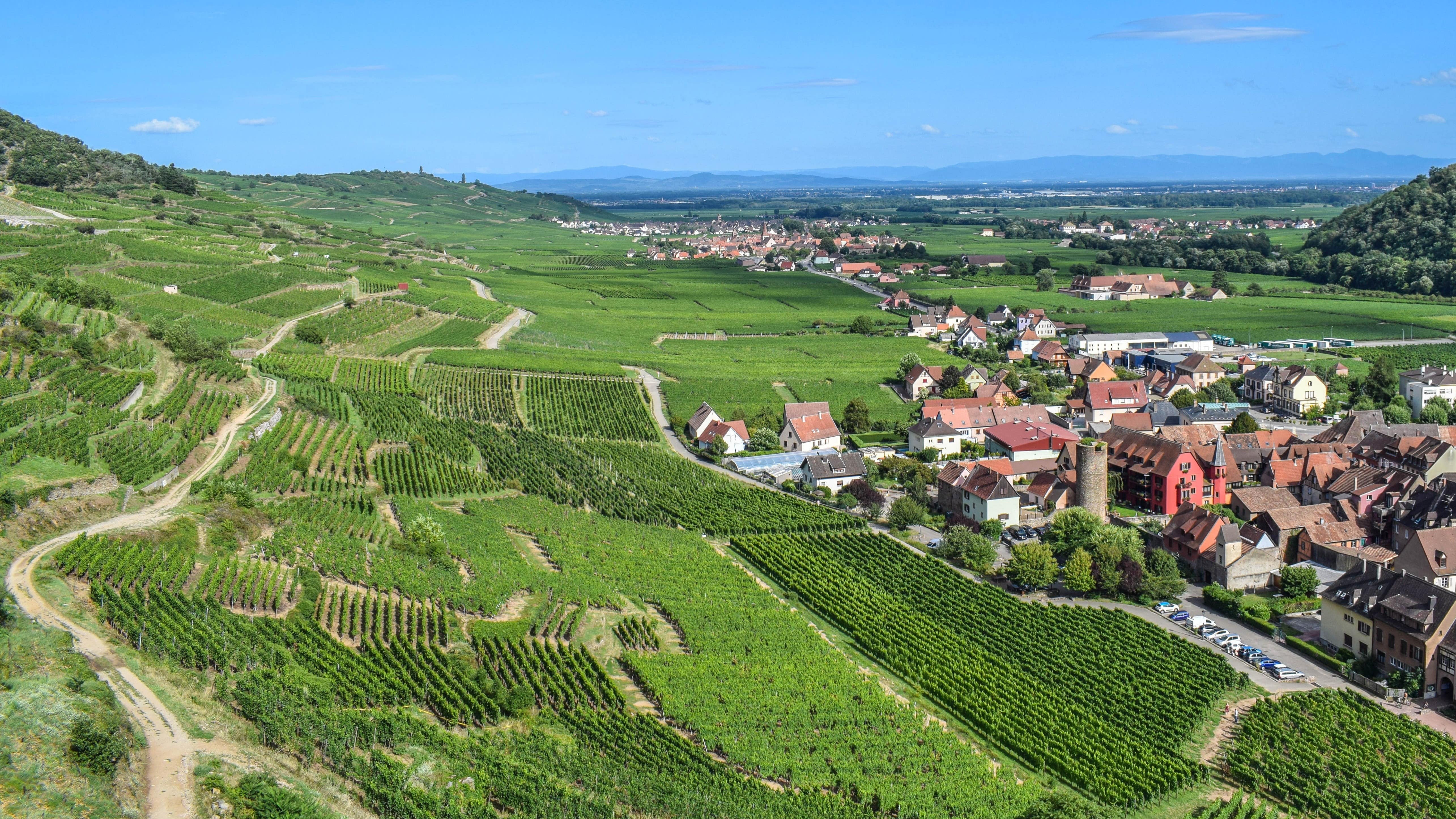 Für Feinschmecker und Kulturliebhaber: Urlaub im Elsass