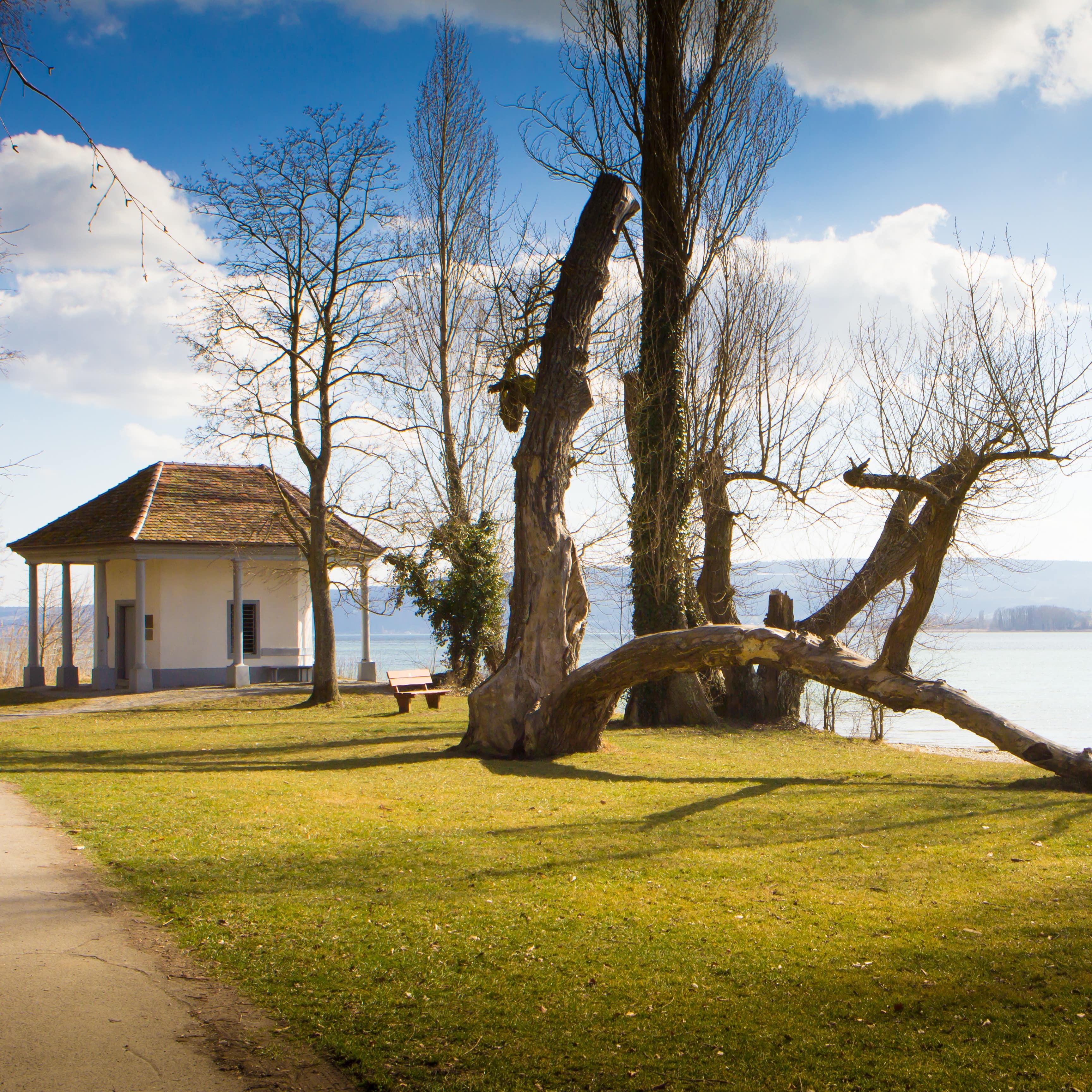 Auf der Halbinsel Mettnau. Ein kleines Gebäude, davon Bäume auf einer Wiese, dahinter der Bodensee.