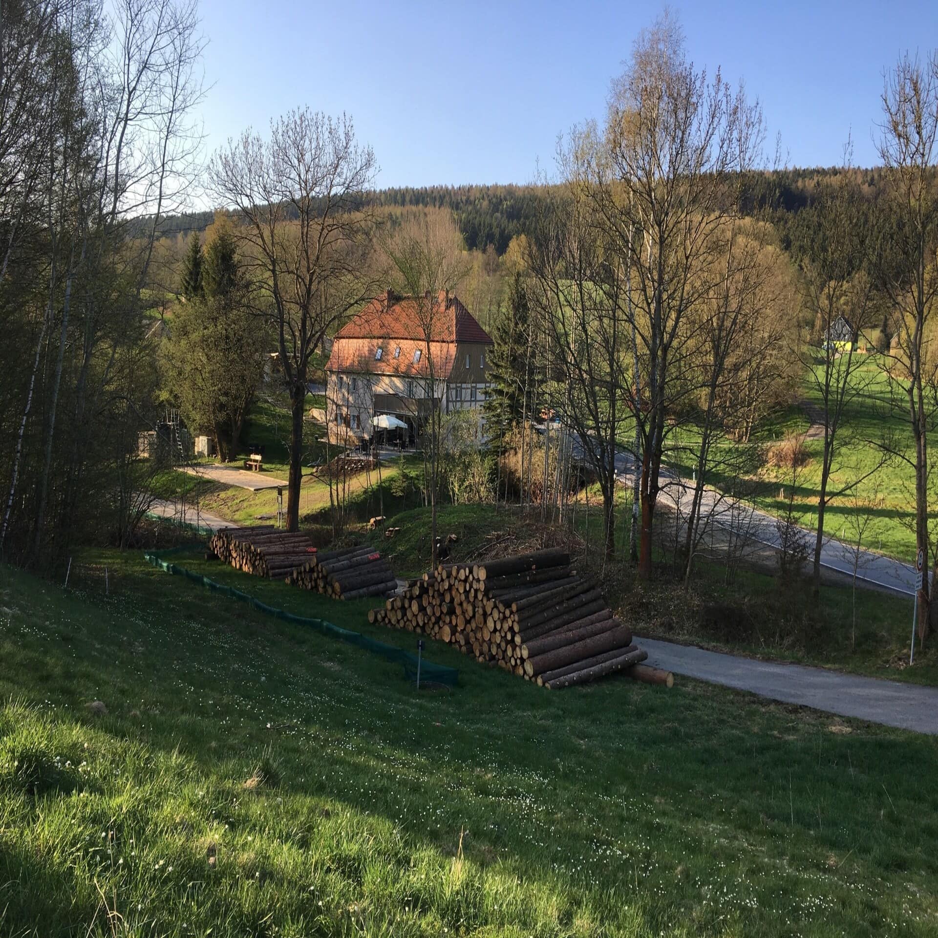 Wiese mit gestapelten Baumstämmen, dahinter Bäume und ein Fachwerkhaus. Die Sonne scheint, es ist Winter.