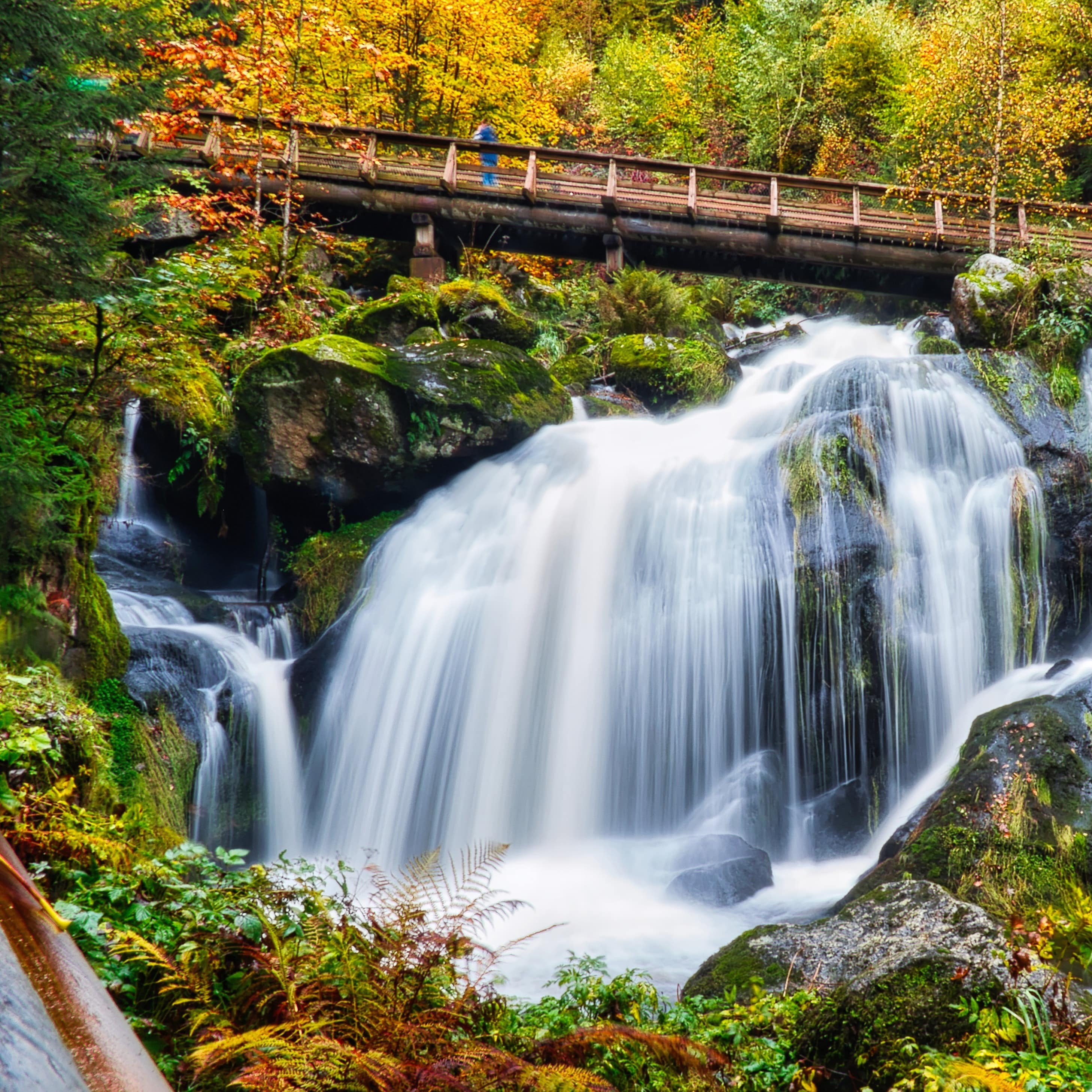 Die Triberger Wasserfälle.