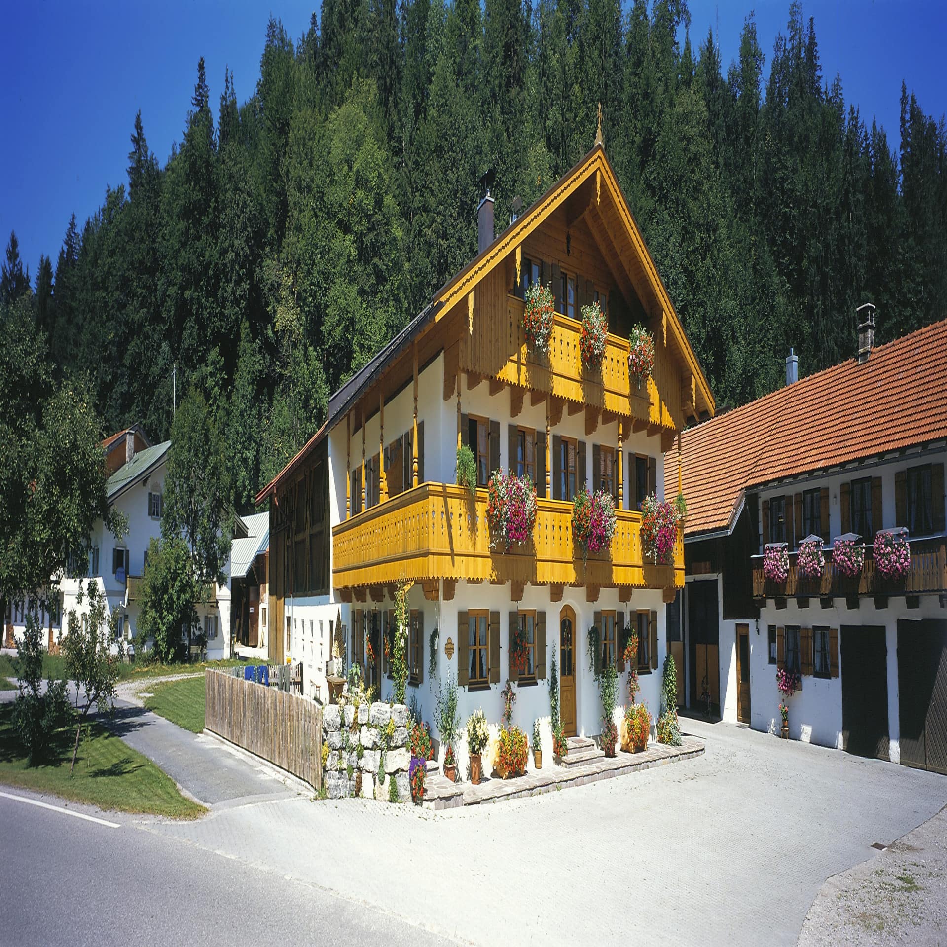 Ein Bauernhof mit mehreren Gebäuden bei Sonnenschein. Dahinter Bäume.