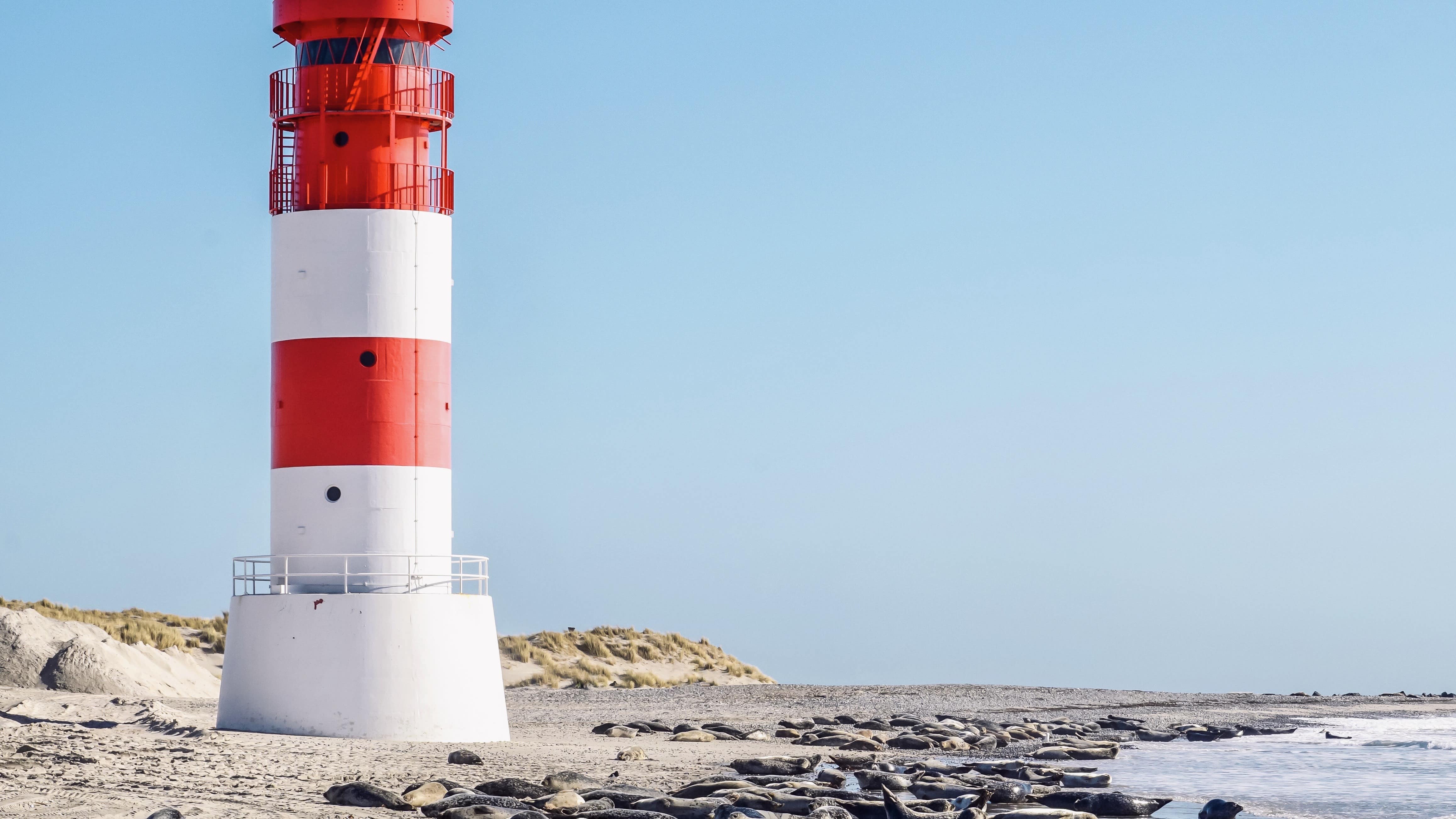 Nordsee: Ferienparks zum Wohlfühlen