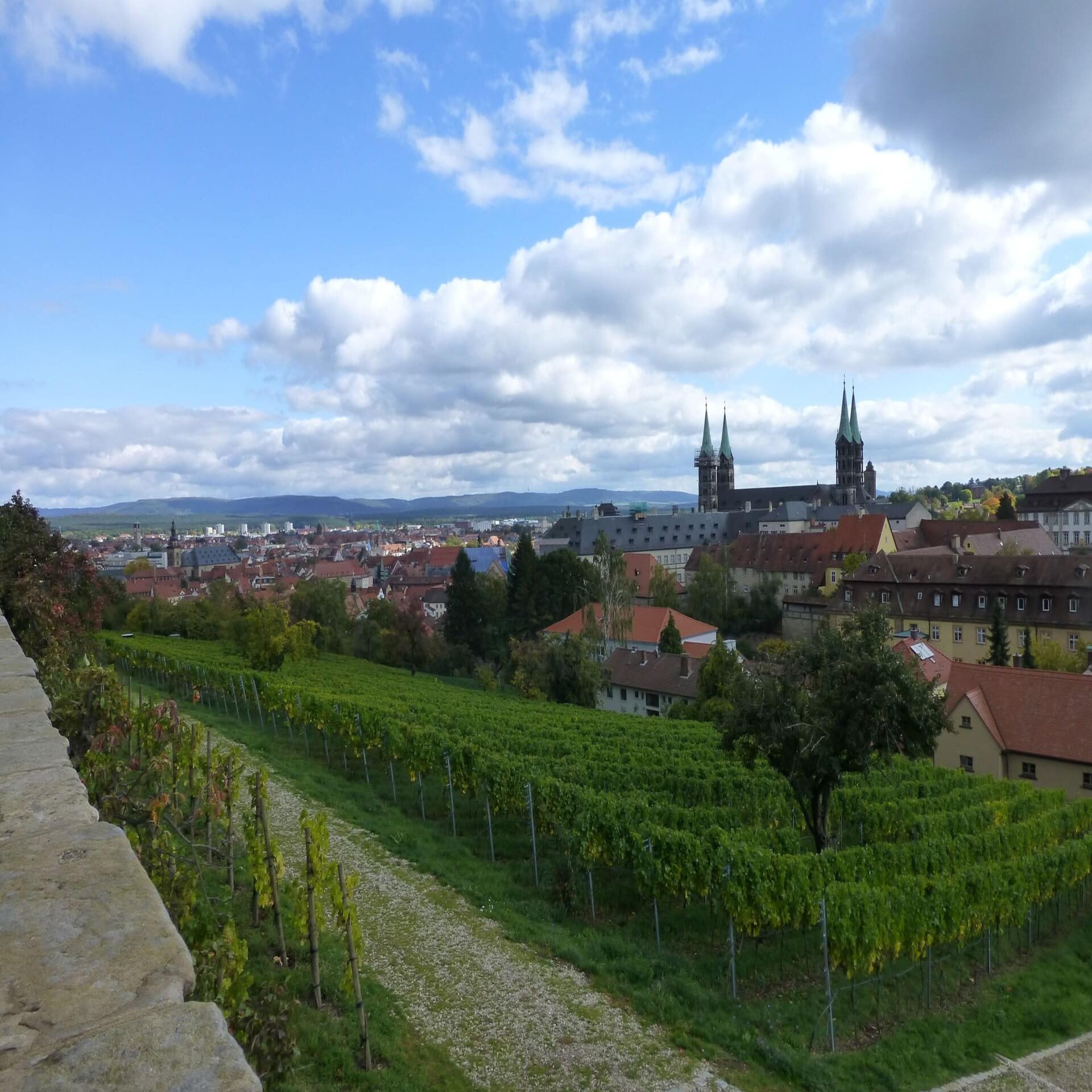Blick über einen Weinberg auf die Stadt Bamberg.