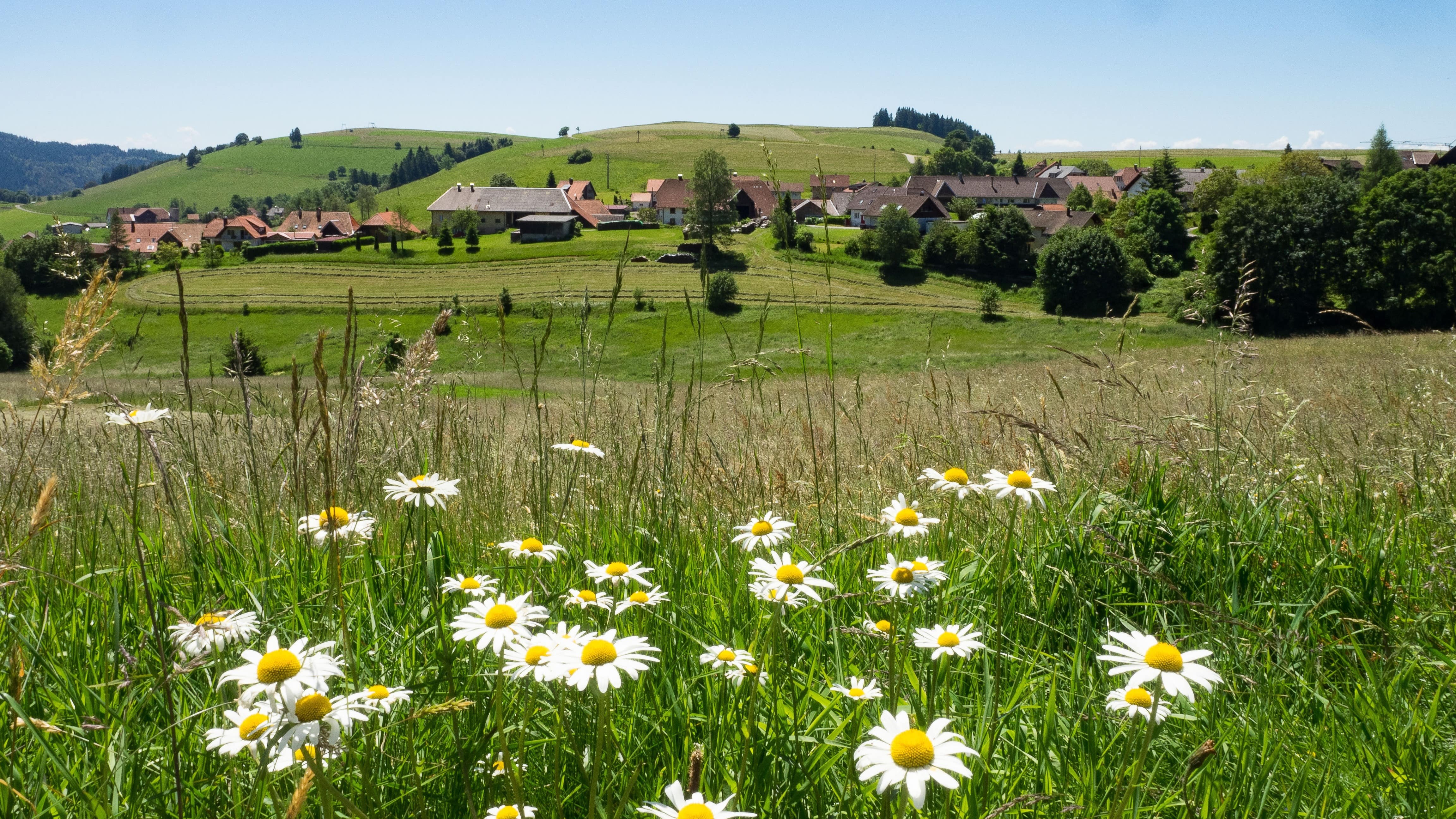 Urlaub im Schwarzwald mit Kindern: Top-Ferienwohnungen