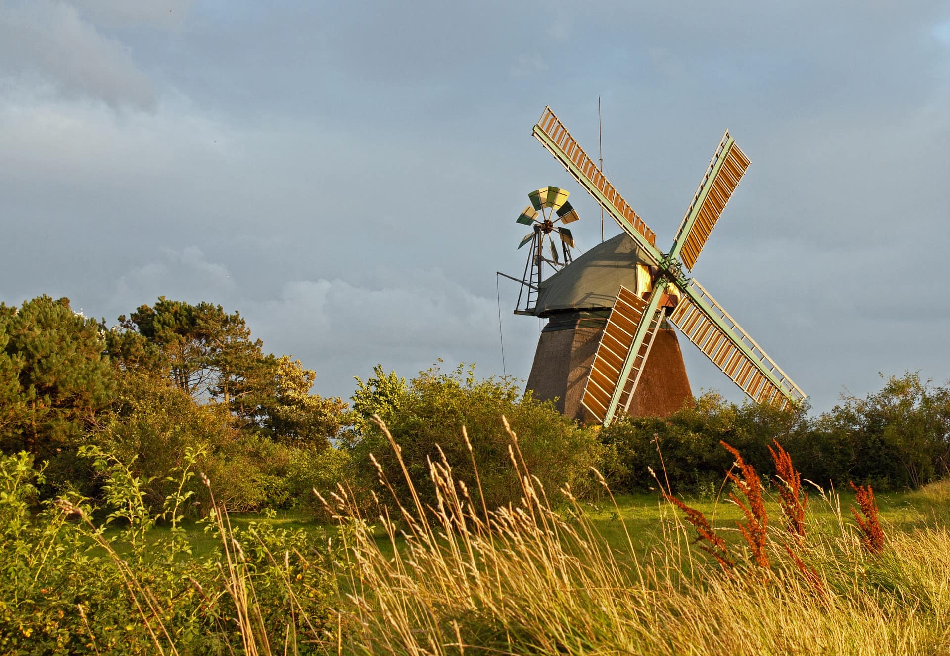 Blick über eine Wiese und Büsche auf eine Windmühle