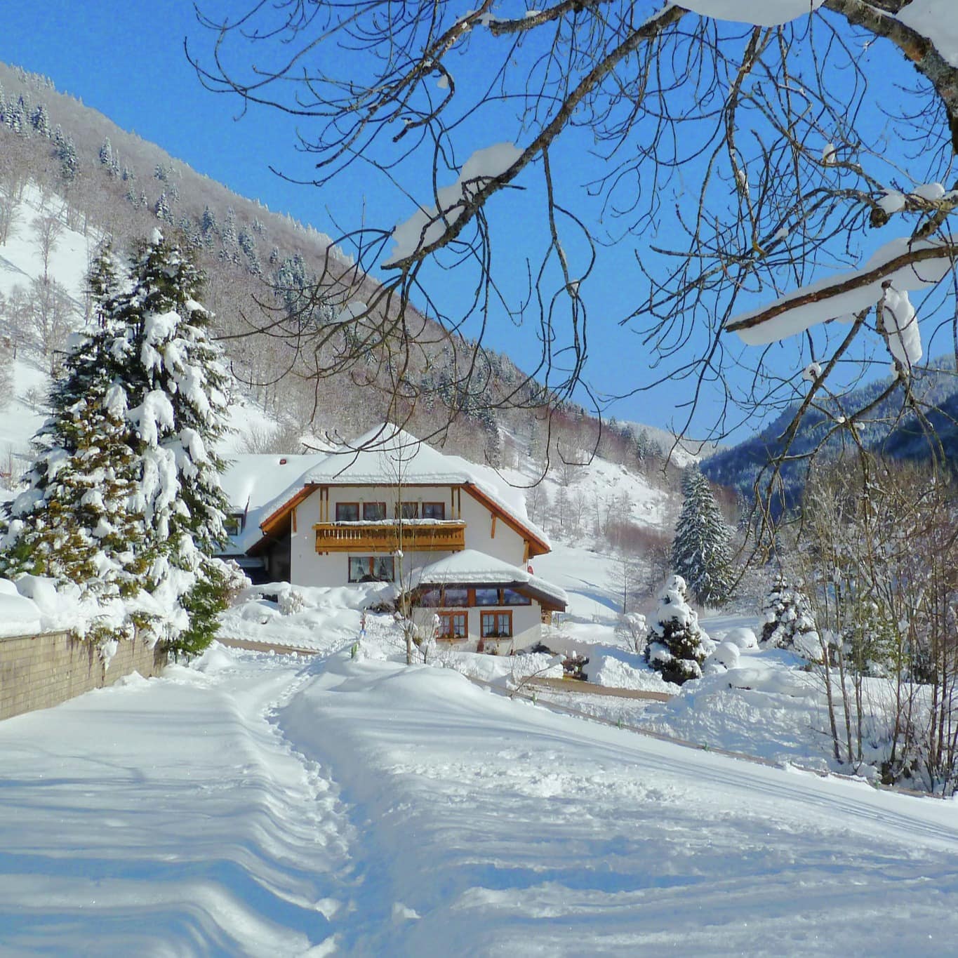 Blick auf die Winterlandschaft und ein verschneites Haus mit Ferienwohnungen in Feldberg
