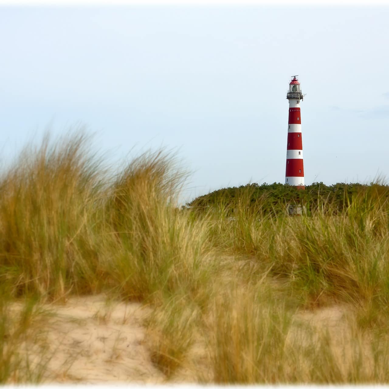 Blick durch die Dünenlandschaft auf einen Leuchtturm