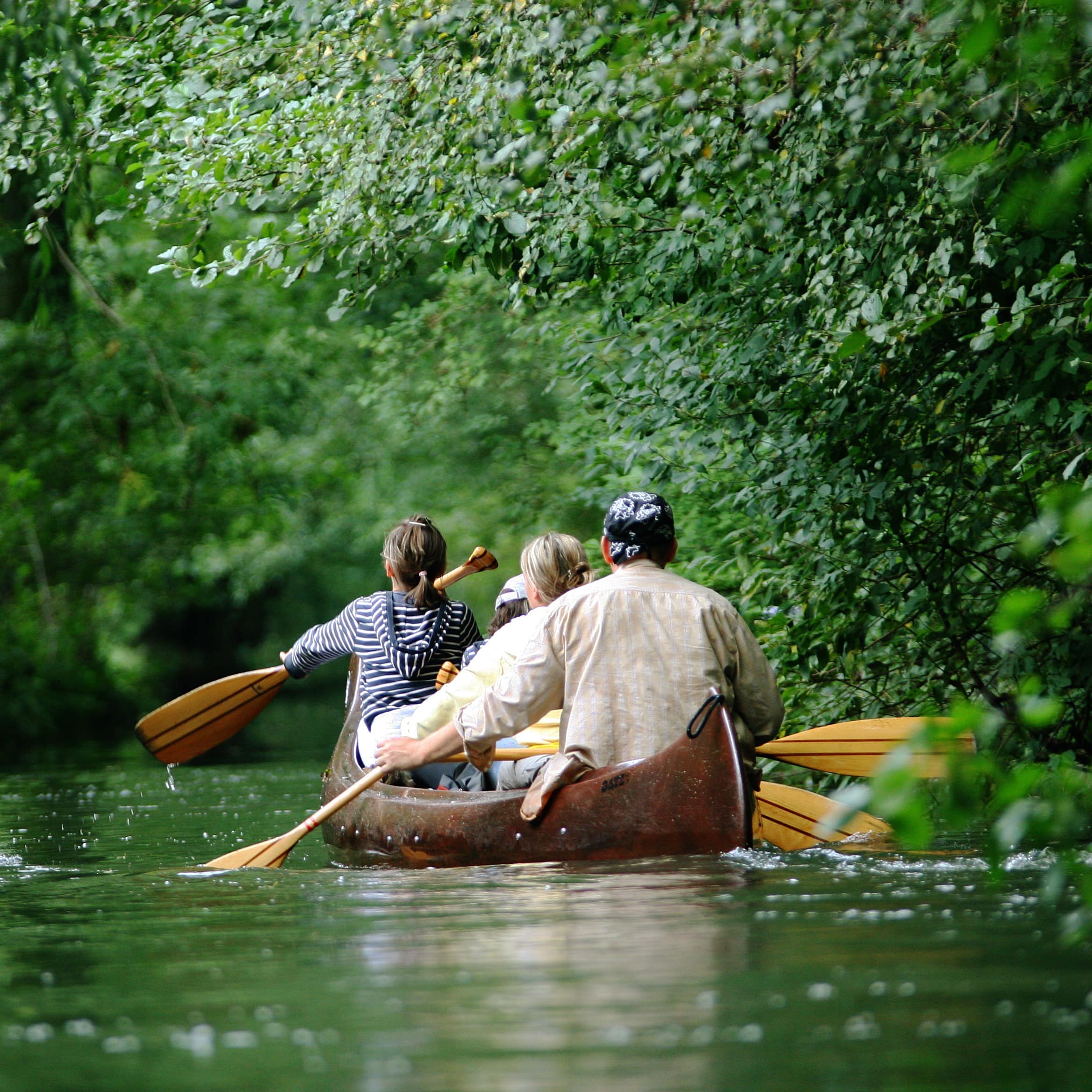 Rückenansicht: Eine 4-köpfige Familie paddelt im Kanu auf einem Fluss im Spreewald.