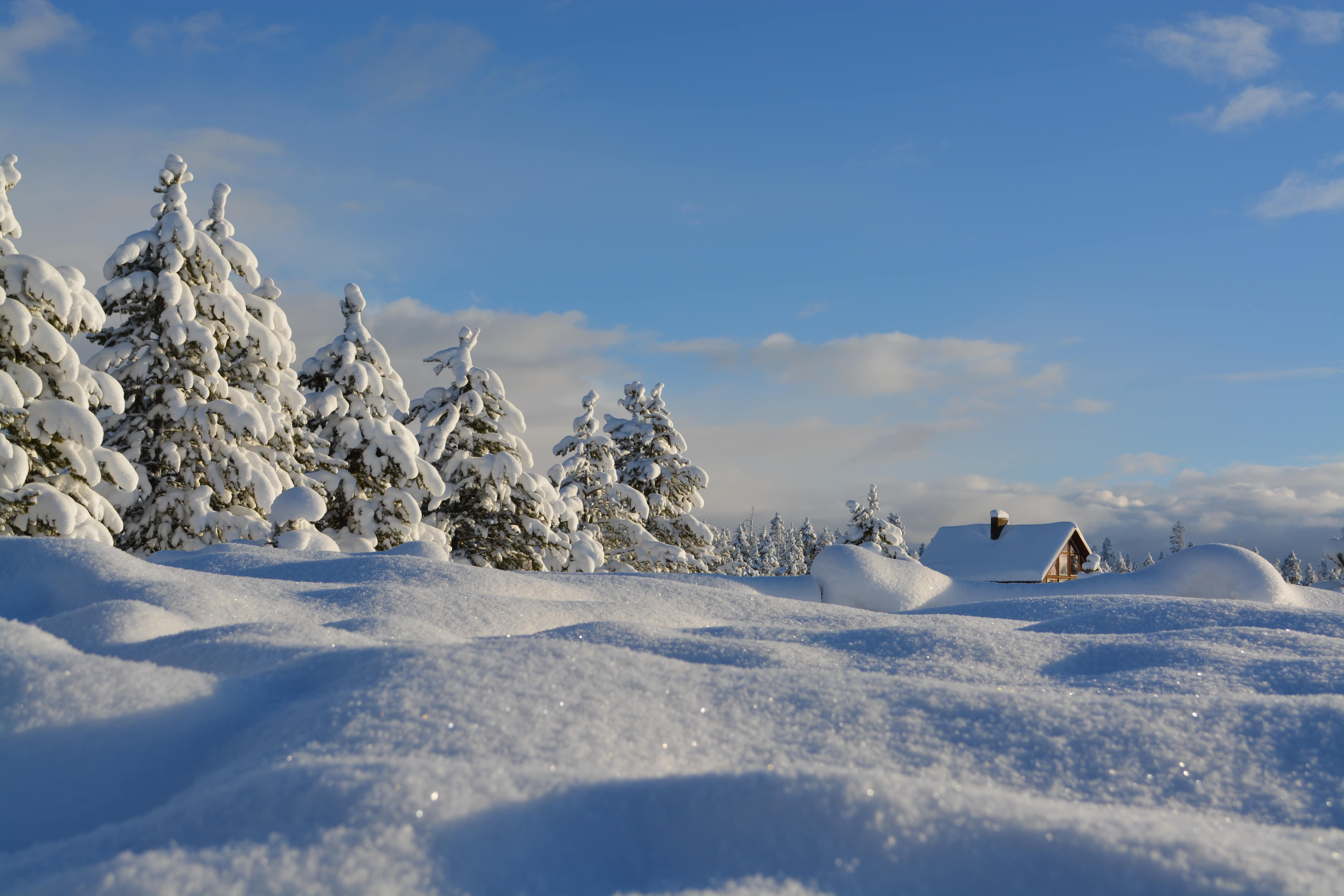 Last-Minute-Skiurlaub: Sechs tolle Chalets und Ferienwohnungen