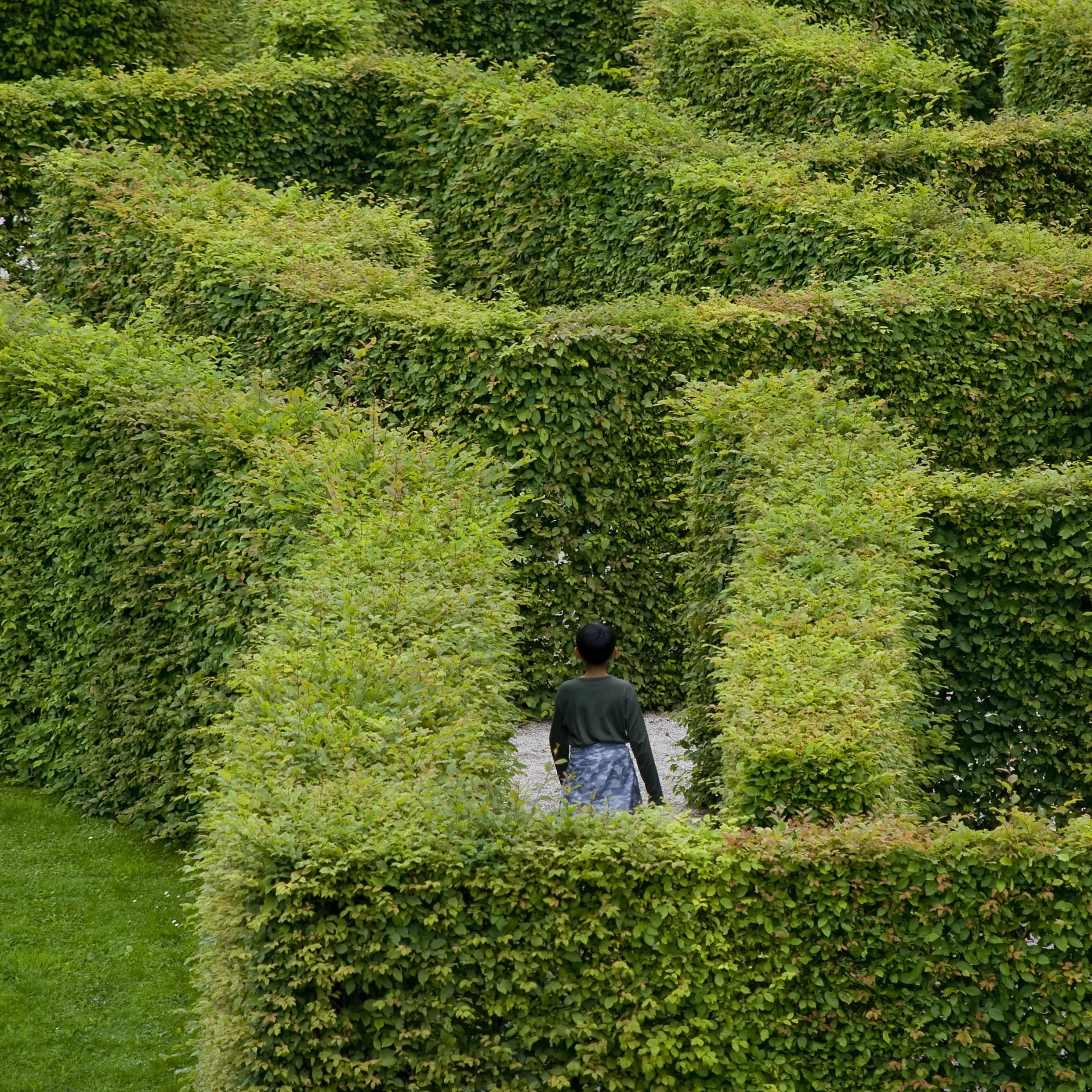 Ein dunkelhaariger Junge geht durch ein Hecken-Irrgarten.