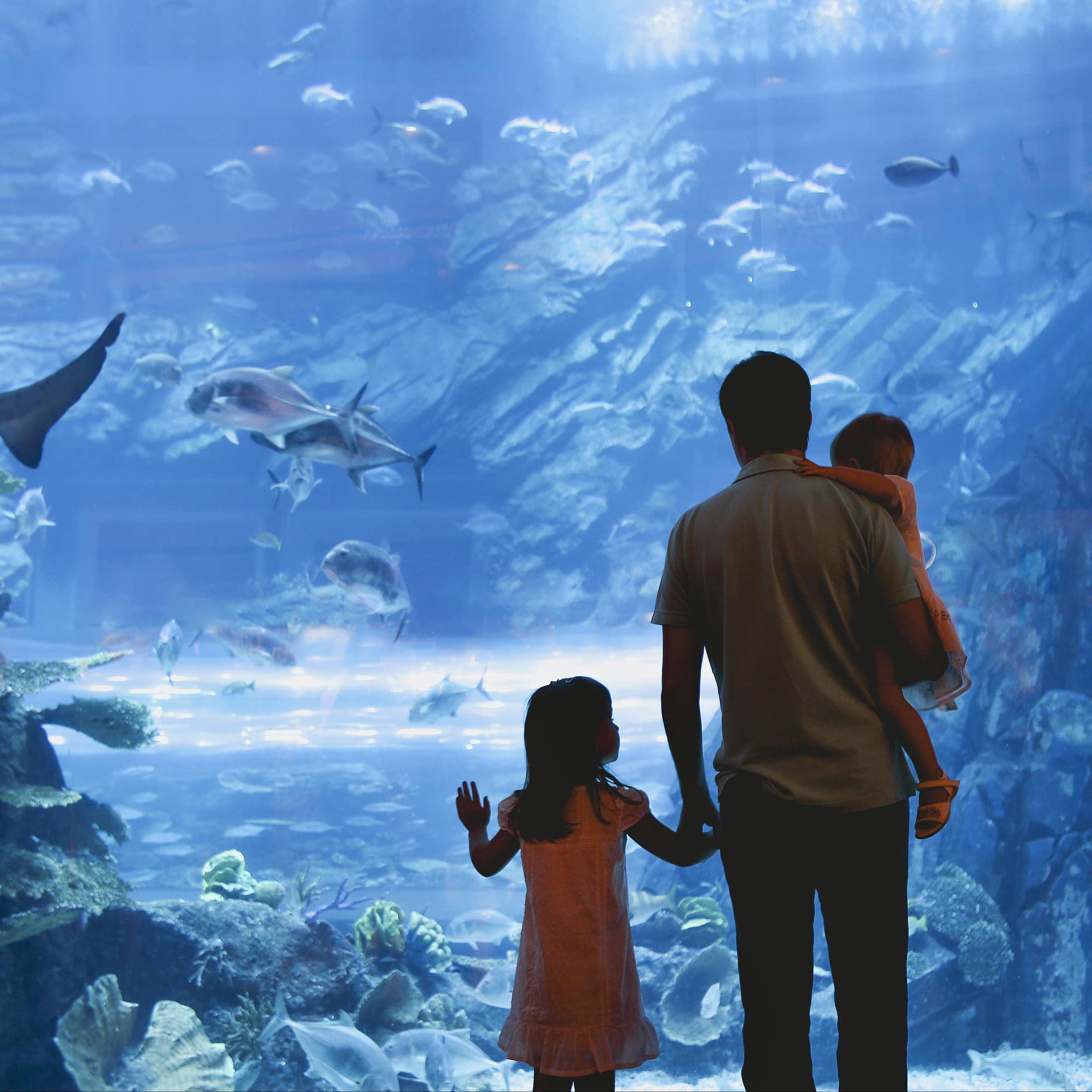 Vor einer großen Glaswand im Aquarium: Vater hält 1 Kind an der Hand und trägt eines auf dem Arm.