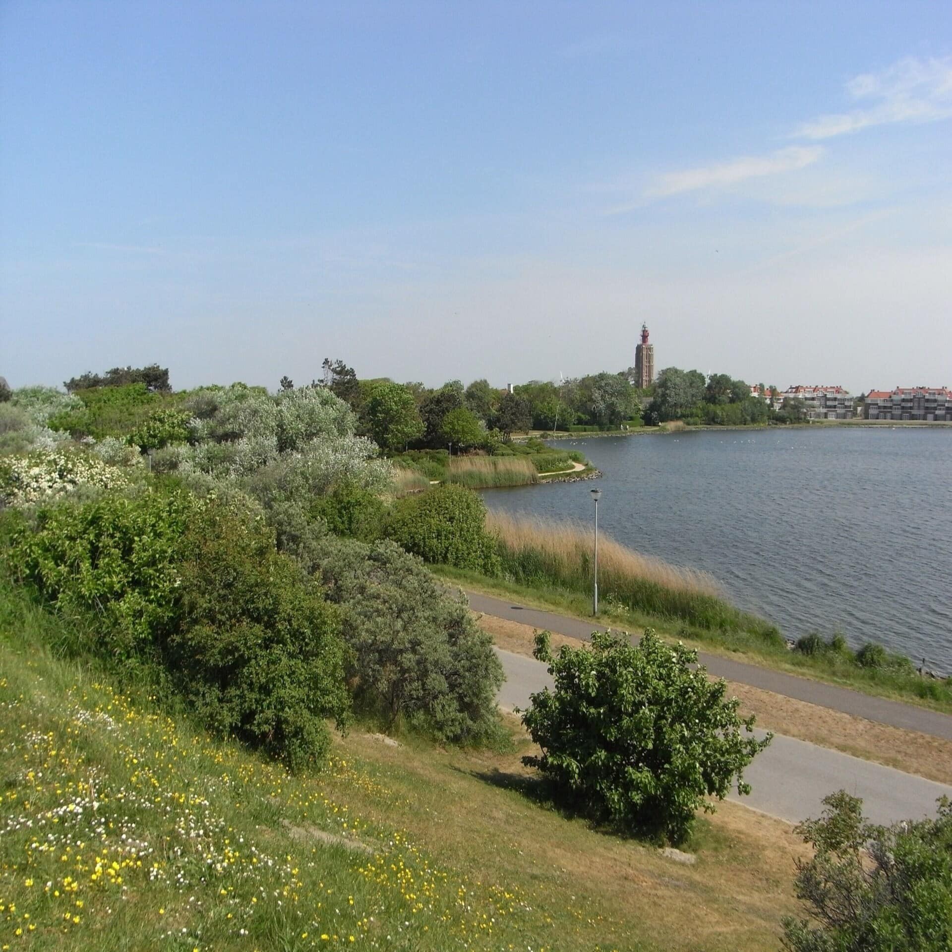 Weg entlang eines naturbelassenen Seeufers entlang, gegenüber ist eine Stadt zu sehen. 