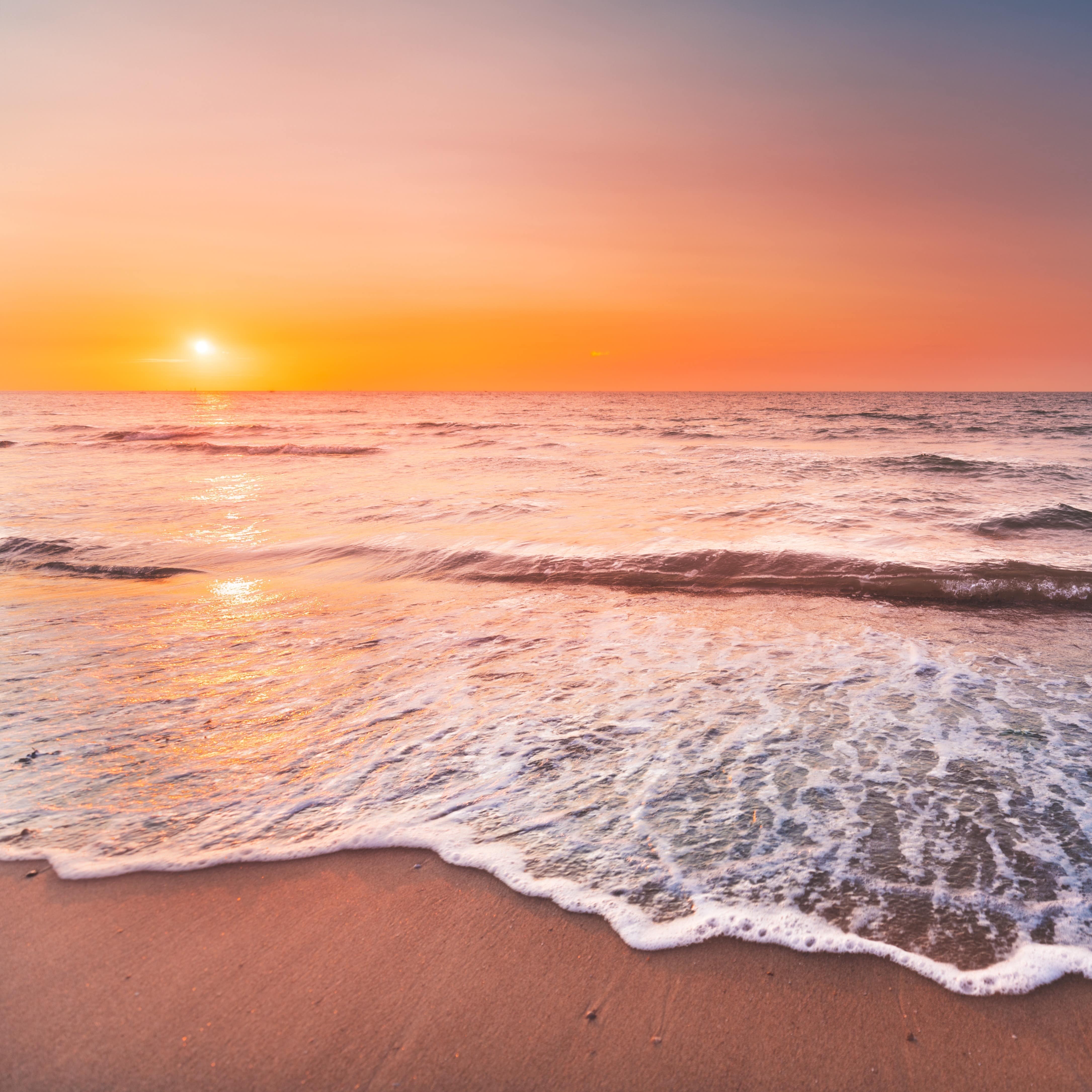 Beautiful view of the ocean waves coming to the shore under the sunset in Zeeland, Netherlands