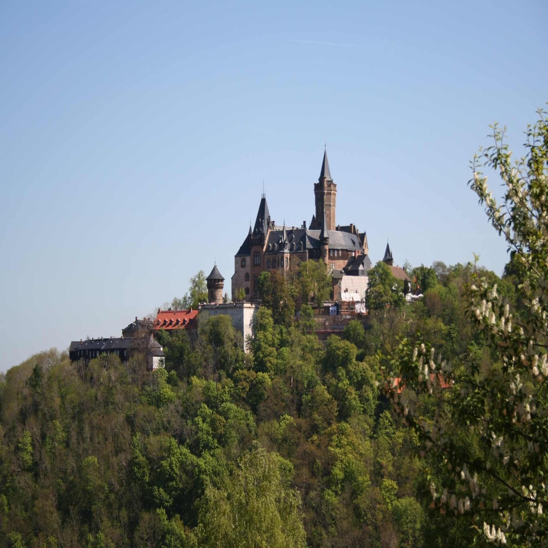Blick auf das Schloss Wernigerode, das von dichtem Wald umgeben ist.