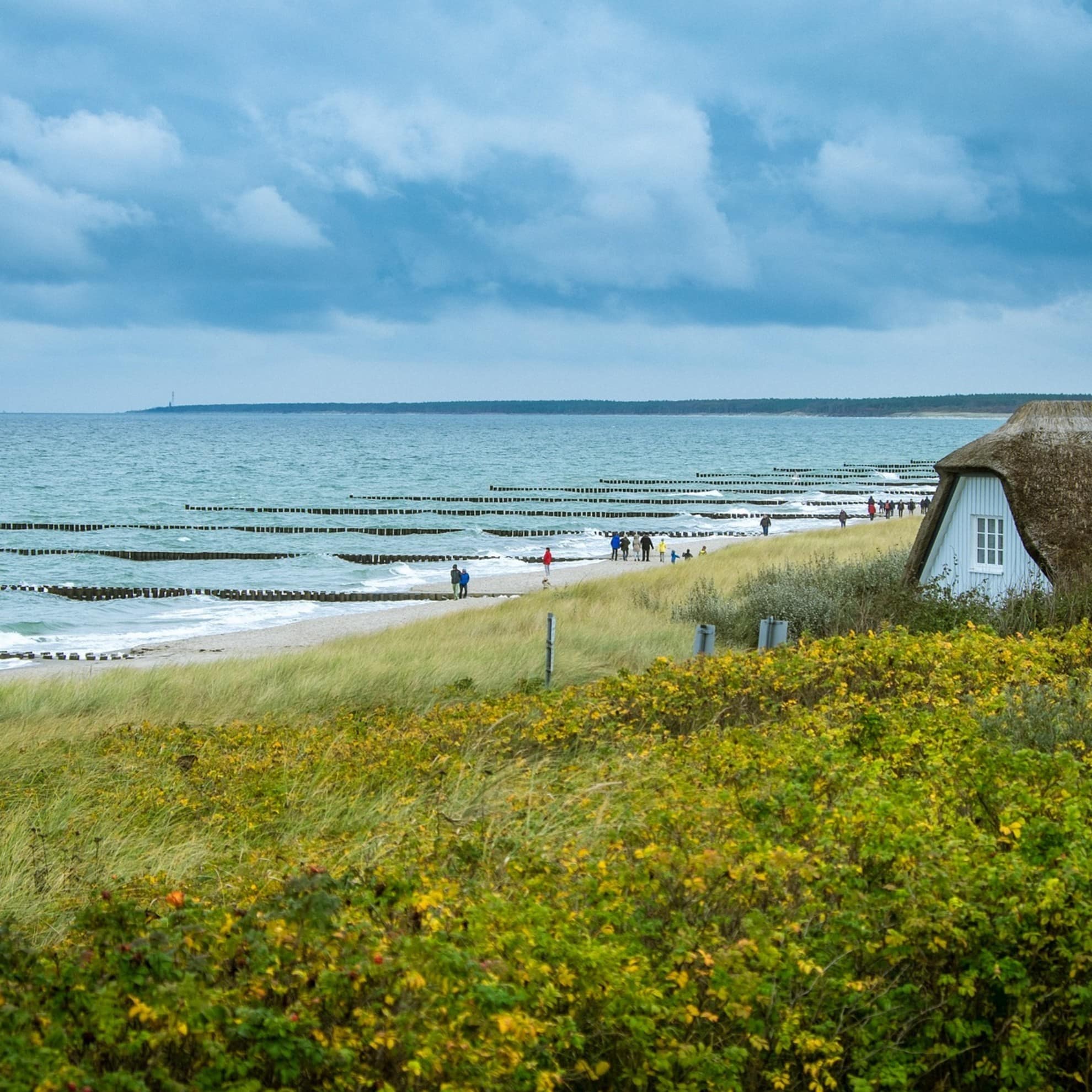 Ostsee Bungalow inmitten der Natur direkt am Strand