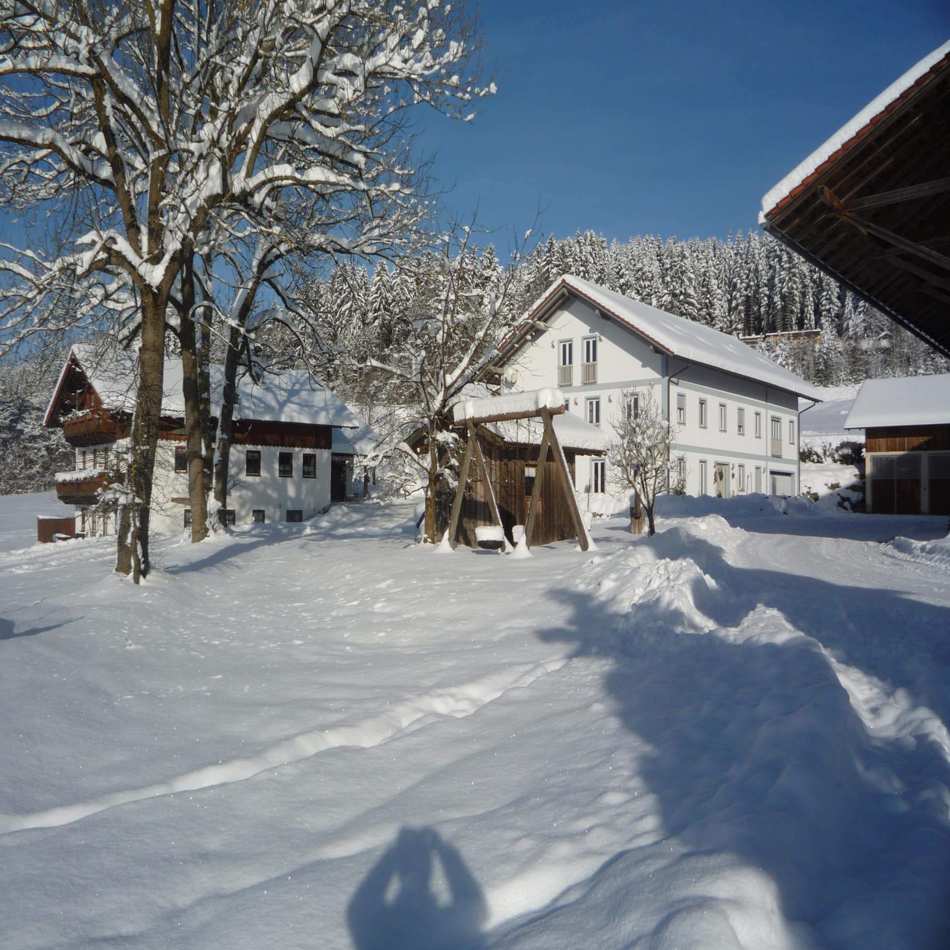 Im Winter: Verschneites Haus und Garten mit Spielplatz bei Sonnenschein.
