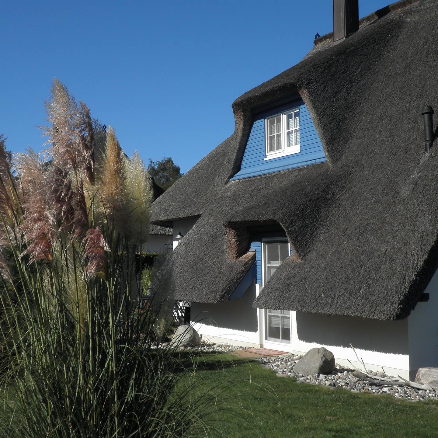 Ein blau weißes Haus mit Reetdach und Garten an der Ostsee