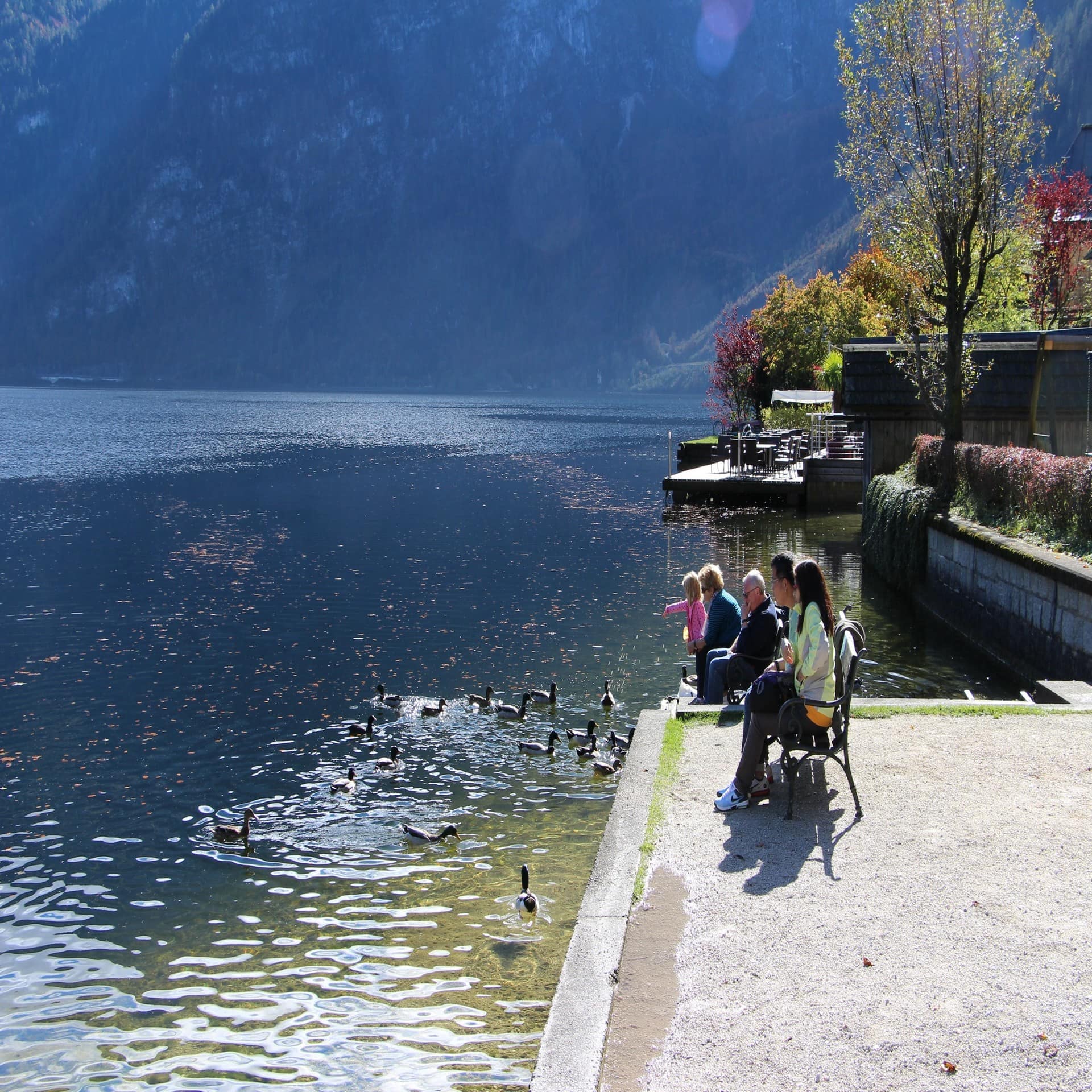 Sonniger Herbsttag: Leute auf einer Bank am See, Ein Kleinkind füttert Enten. 