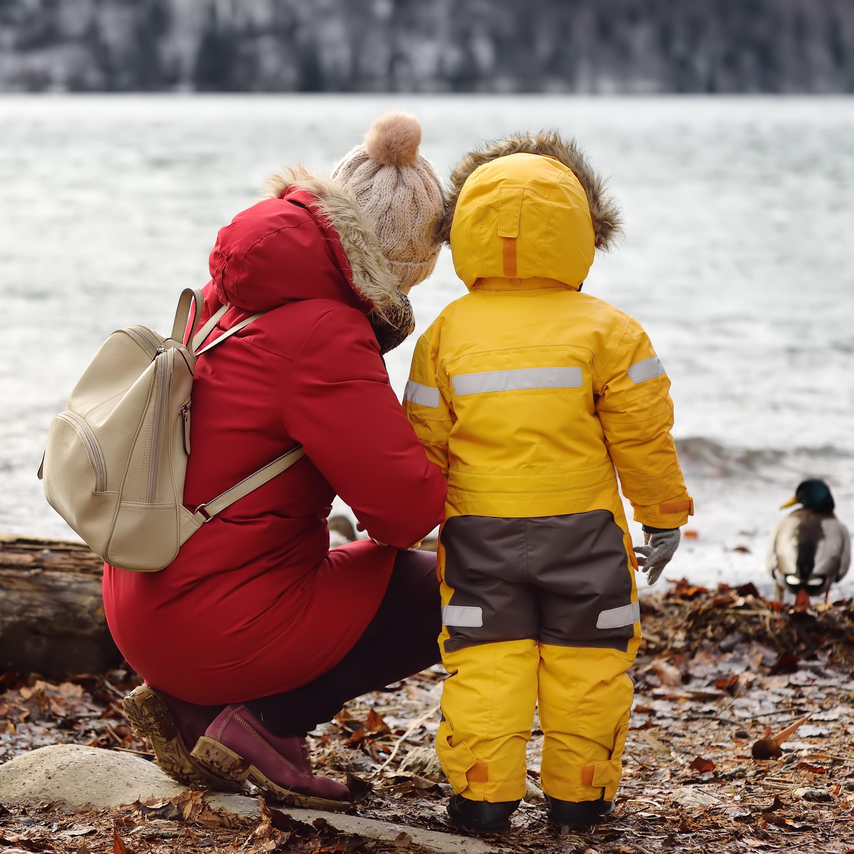 Rückenansicht: Mutter und Kind in warmer Kleidung schauen eine Ente am Wasser an.