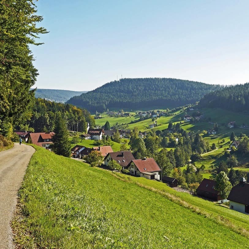 Blick auf Baiersbronn im Nordschwarzwald und die umliegenden Wälder.