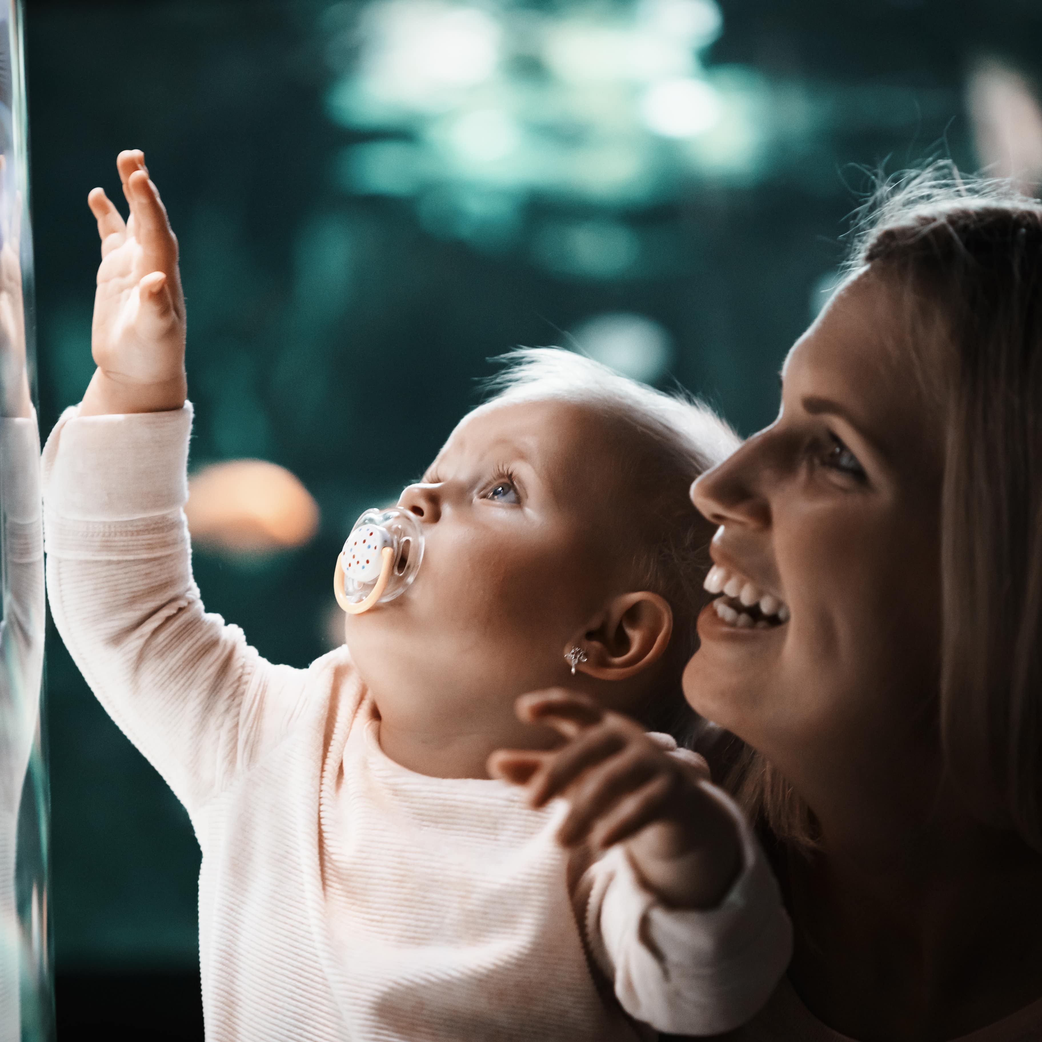 Eine Mutter und ein Kleinkind betrachten Fische in einem Aquarium
