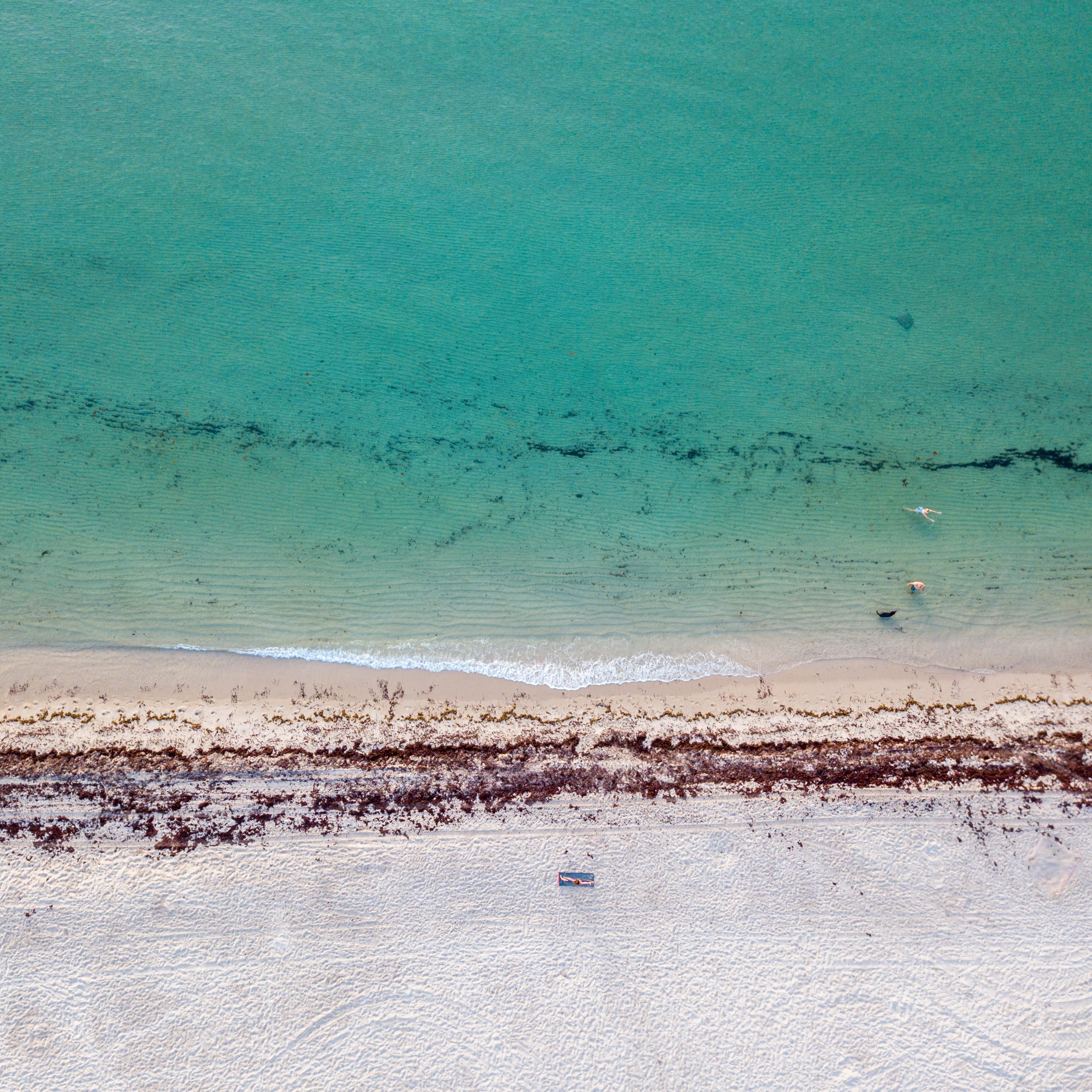 A bird's-eye shot of the gleaming white sands of the Florida coast