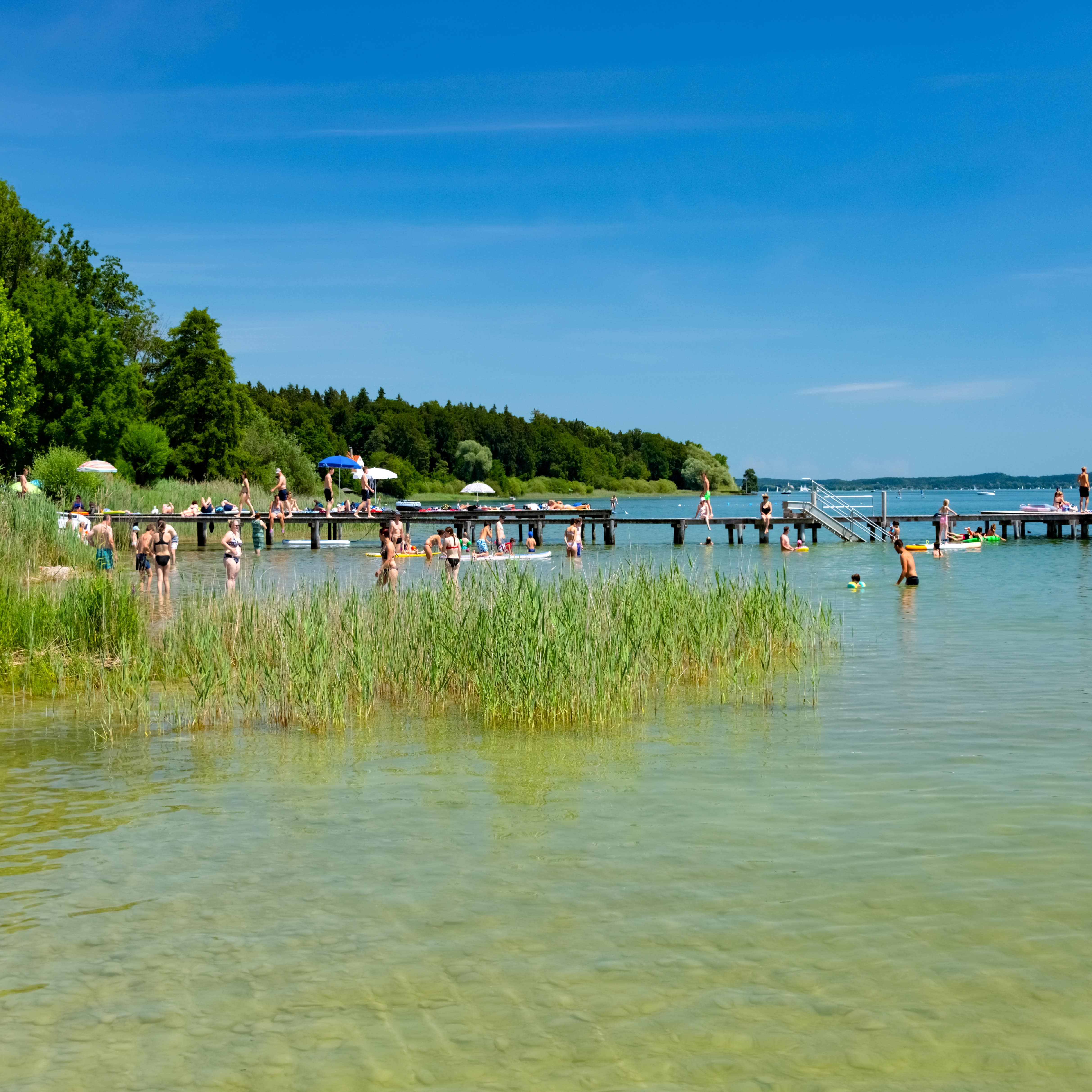 Blick auf einen Badesteg am Bodensee: Erwachsene und Kinder vergnügen sich im Wasser.