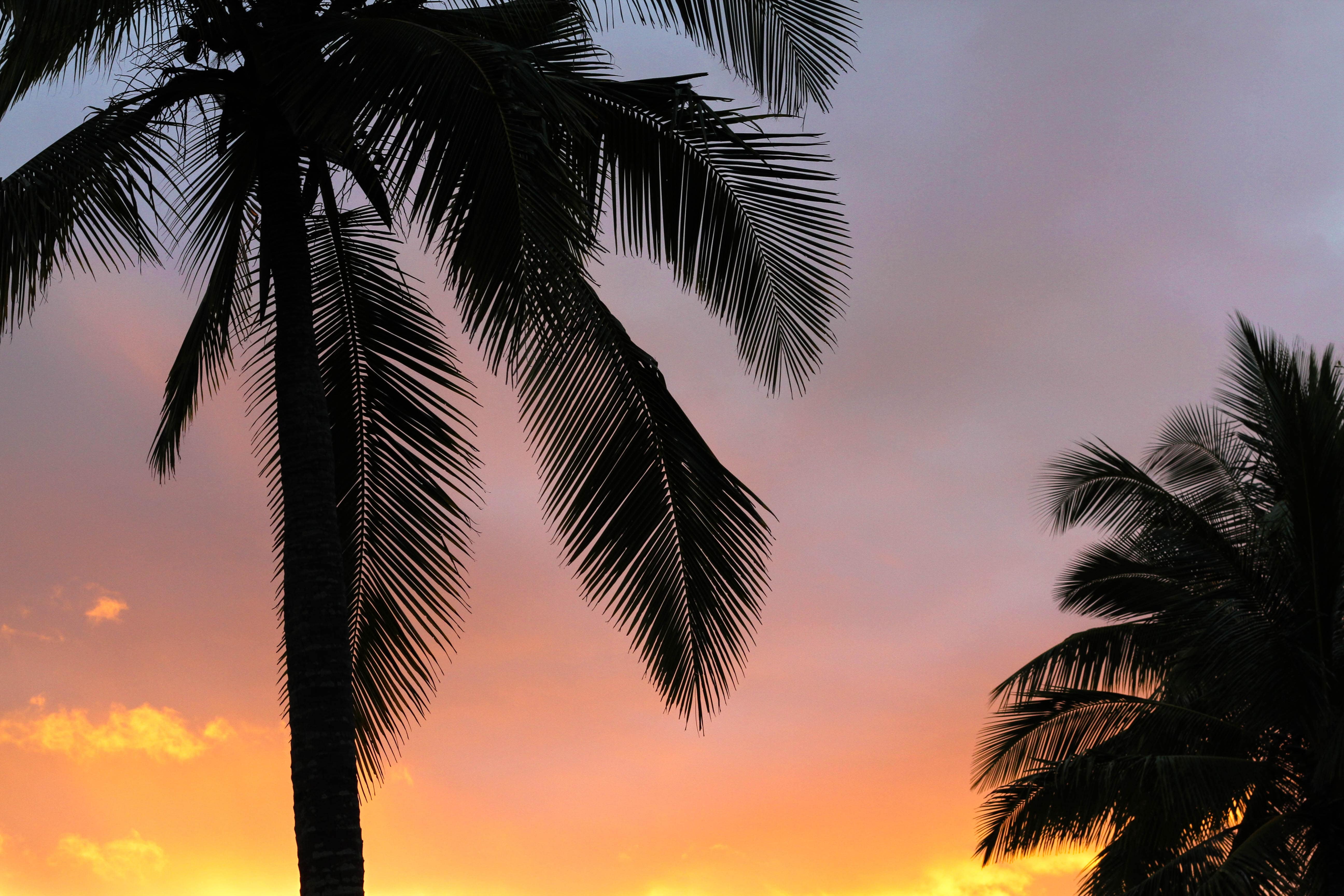 Urlaub in einer Finca
