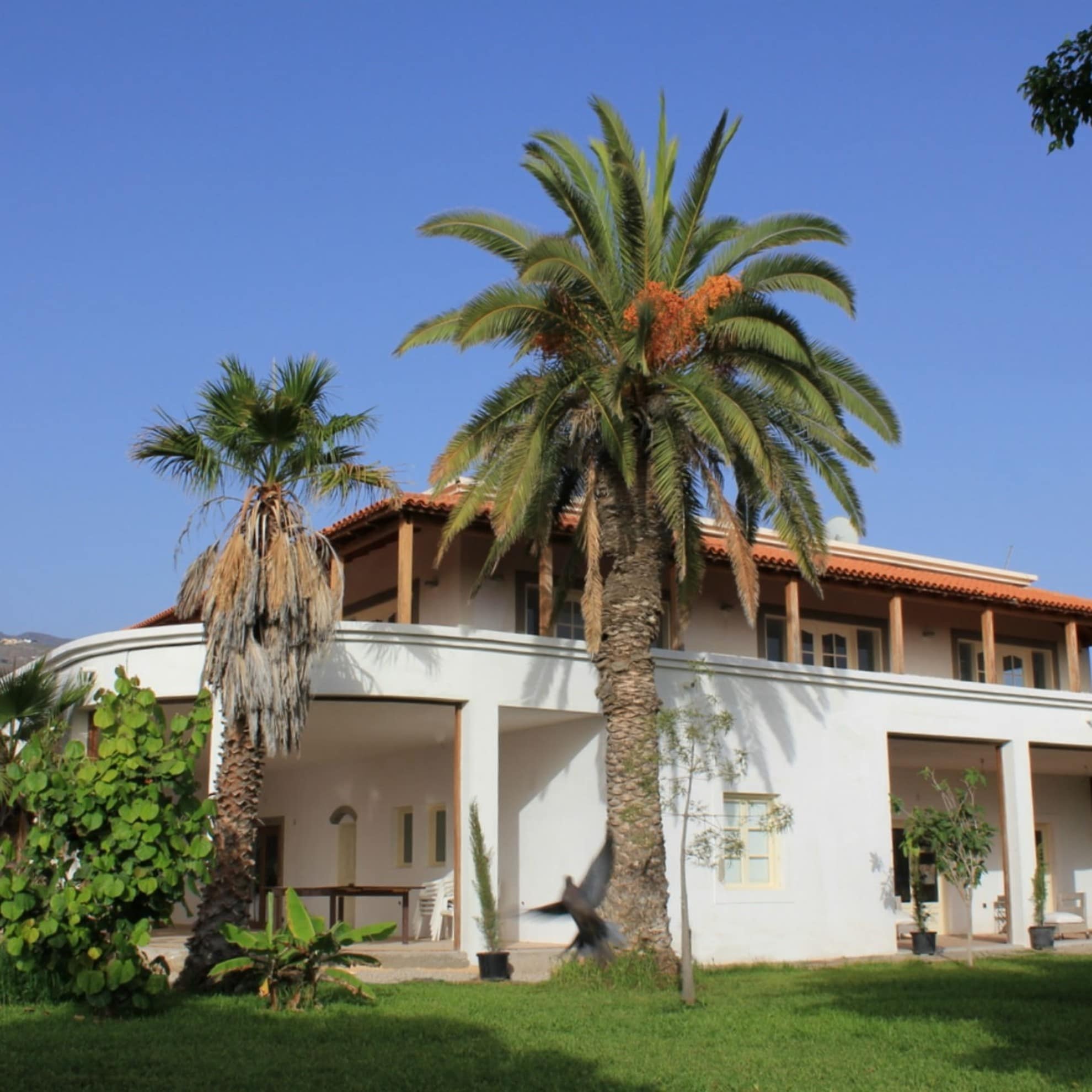 Finca im Grünen auf Teneriffa