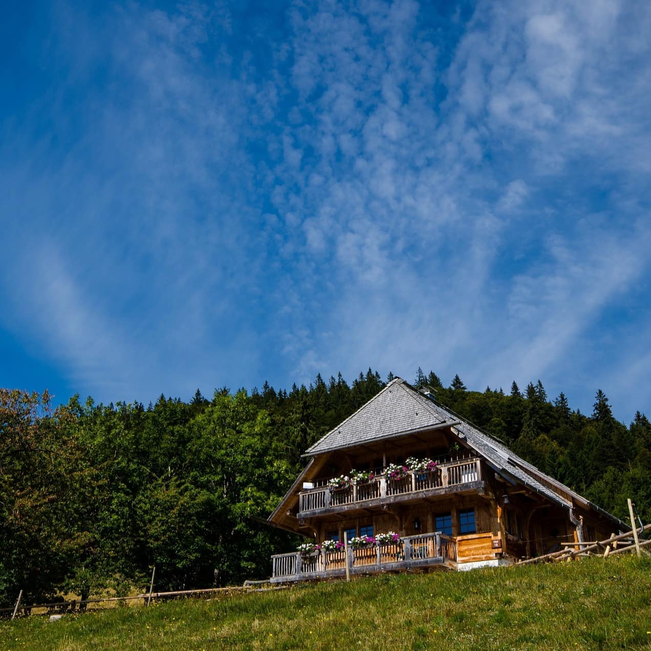 Ein Haus in Feldberg mit Blumen am Balkon in der Natur