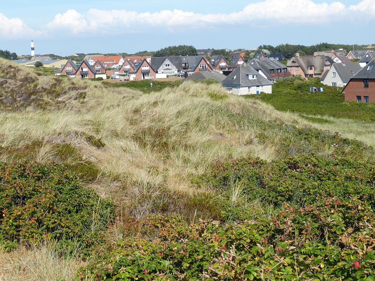 Bezaubernde Ferienwohnungen in Wenningstedt