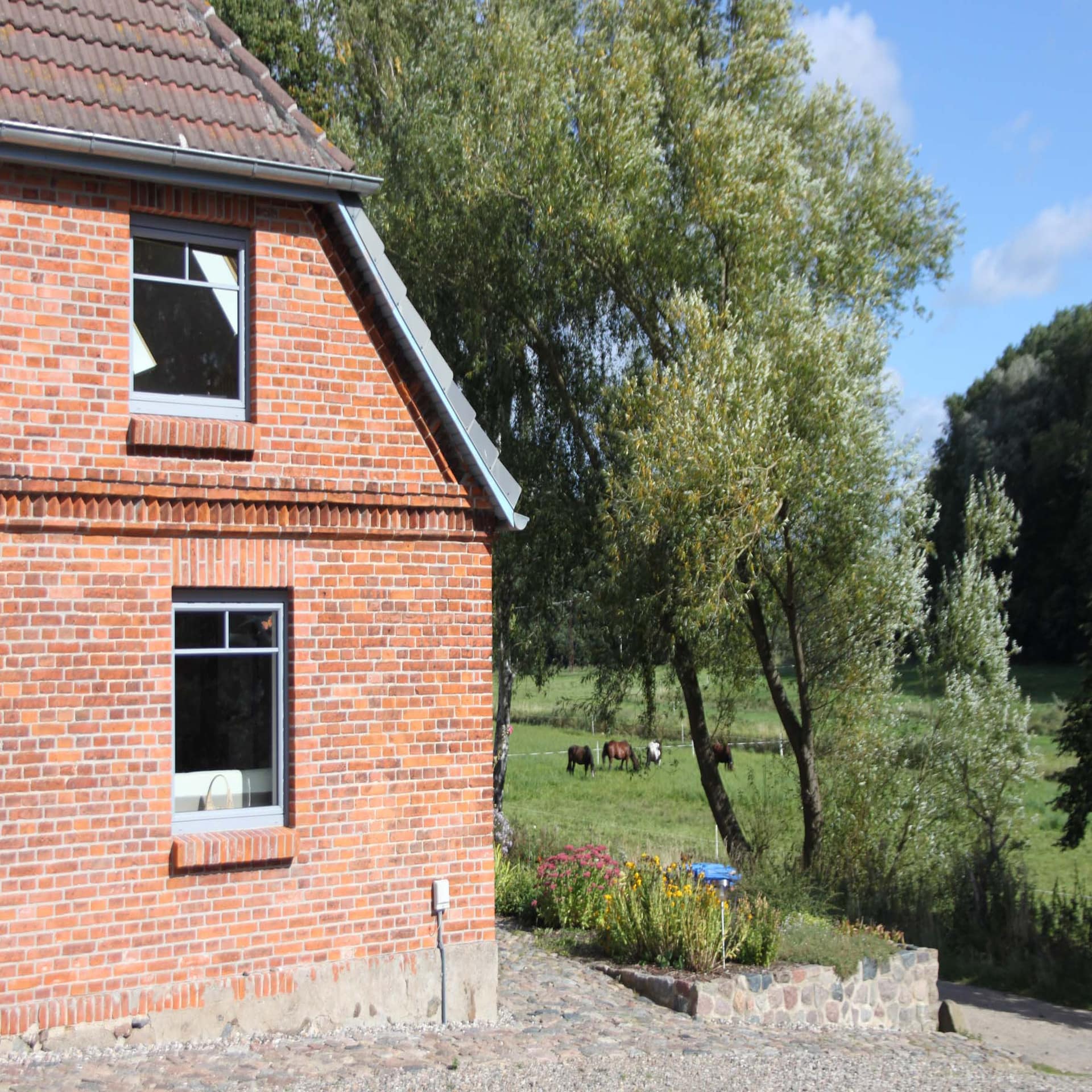Links ein rotes Bauernhaus, rechts eine Wiese mit Pferden.
