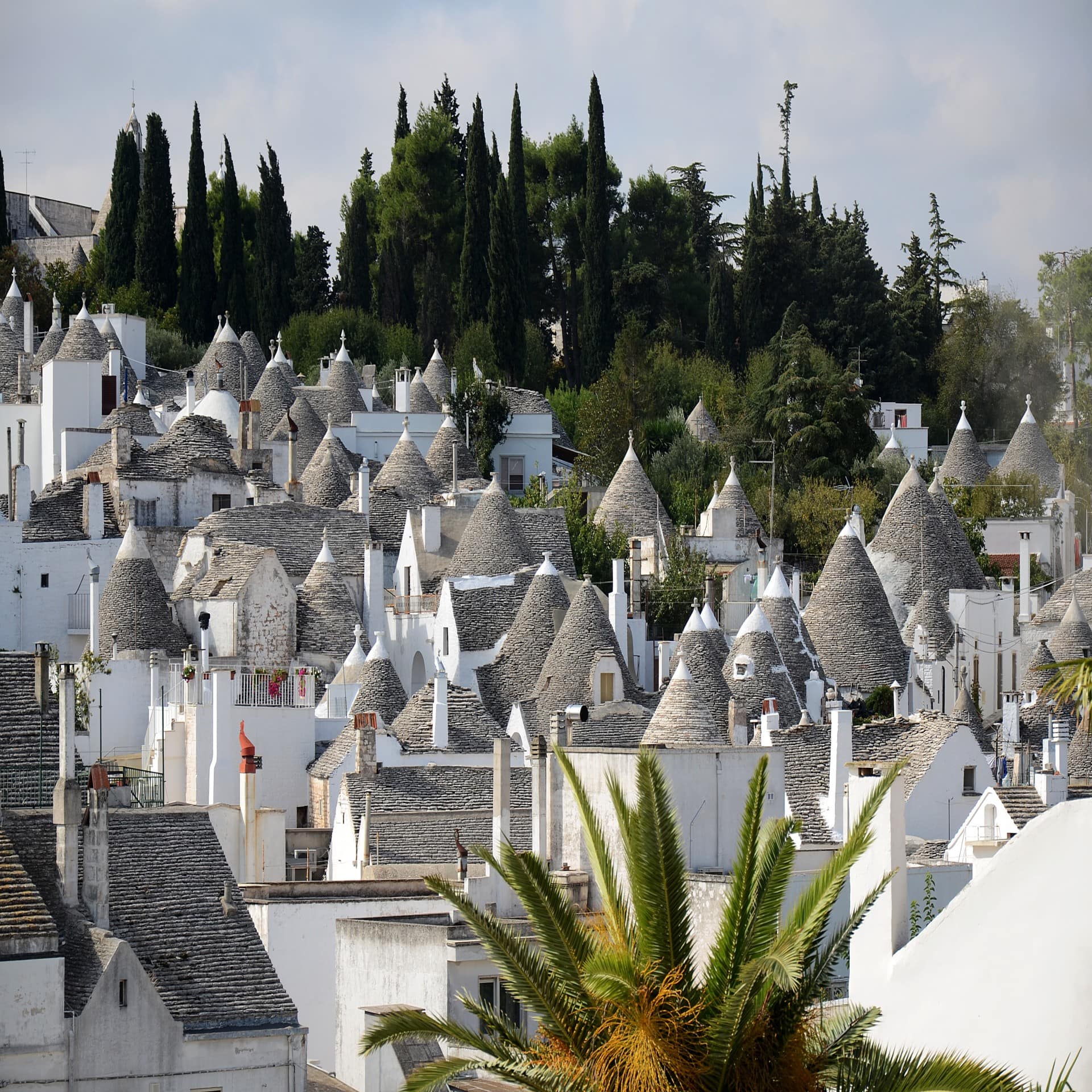 Blick über ein weißes Trulli-Dorf mit Bäumen im Hintergrund