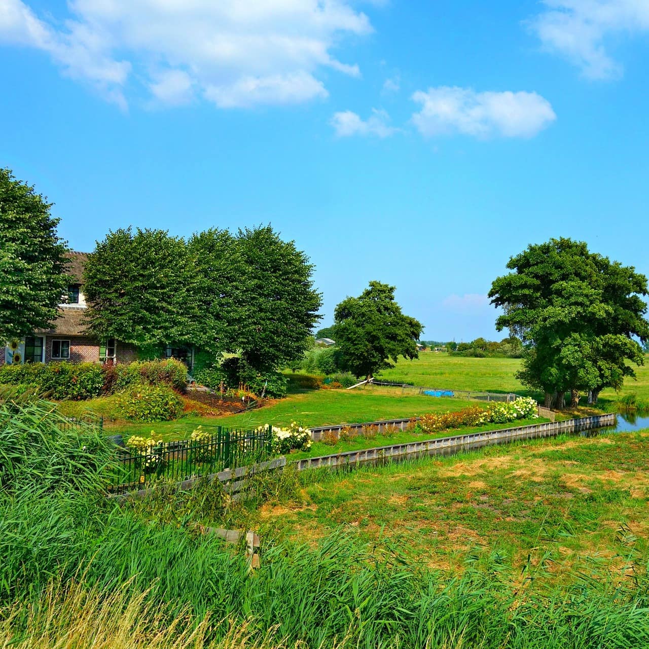 Blick auf eine holländische Landschaft und ein Haus mit Garten im Sommer