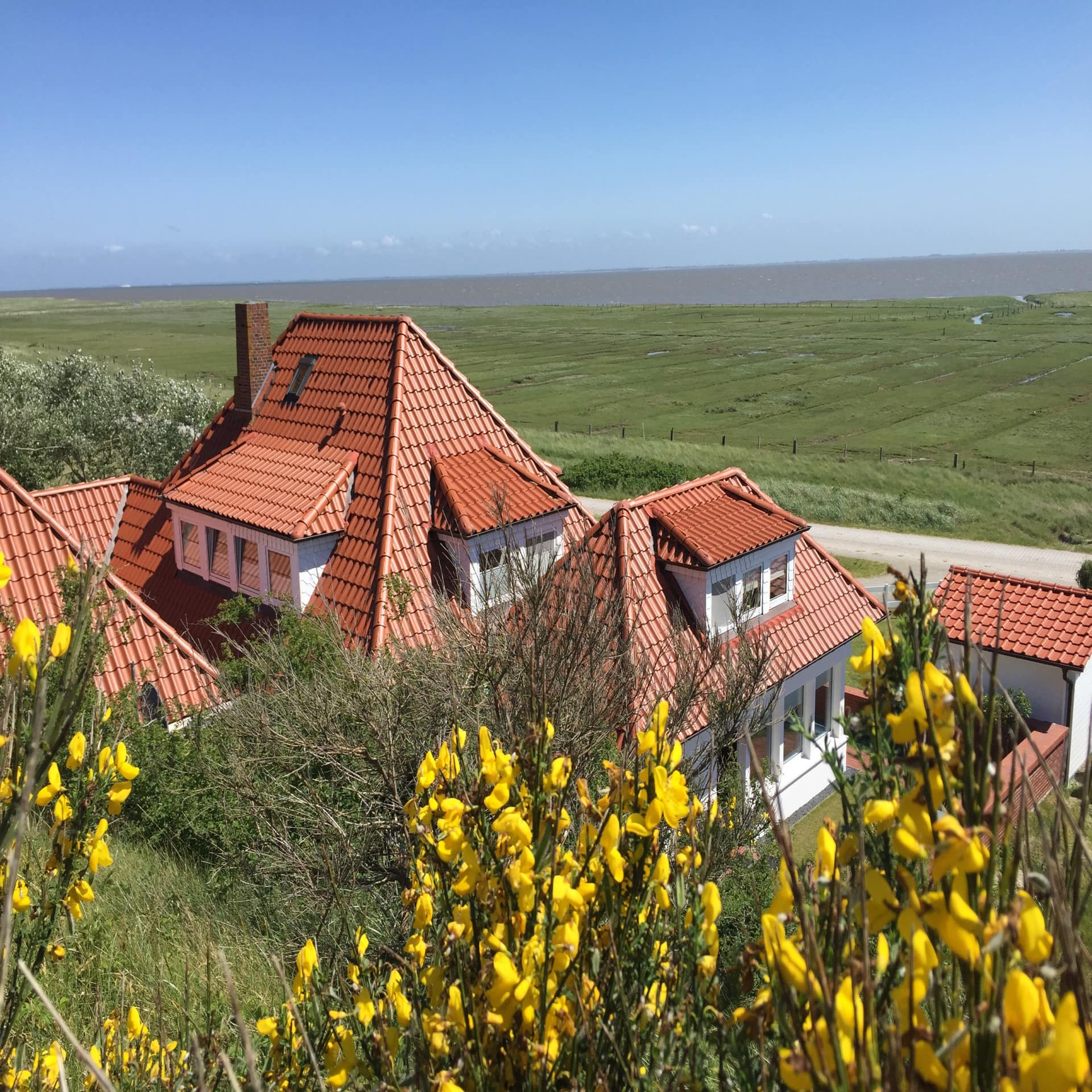 Blick vorbei an gelben Blumen auf Häuser mit rotem Dach, eine weite Wiese und das Meer.