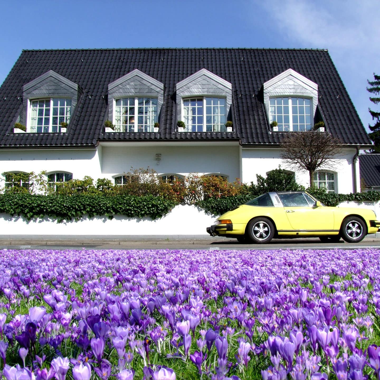 Luxus-Ferienhaus in Deutschland mit überwachsener Mauer; davor parkt ein gelber Porsche und blühende Krokusse sind zu sehen