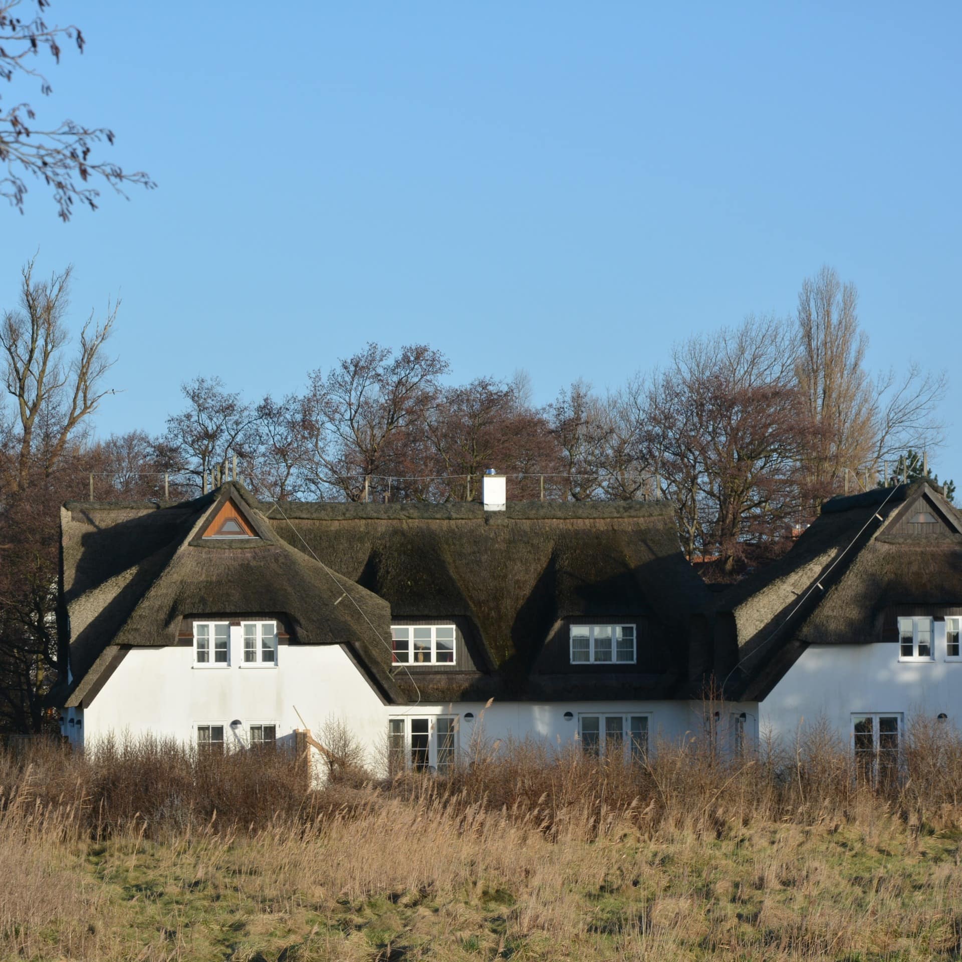 Blick vom Deich auf ein Haus mit Ferienwohnungen direkt am Strand von Hiddensee