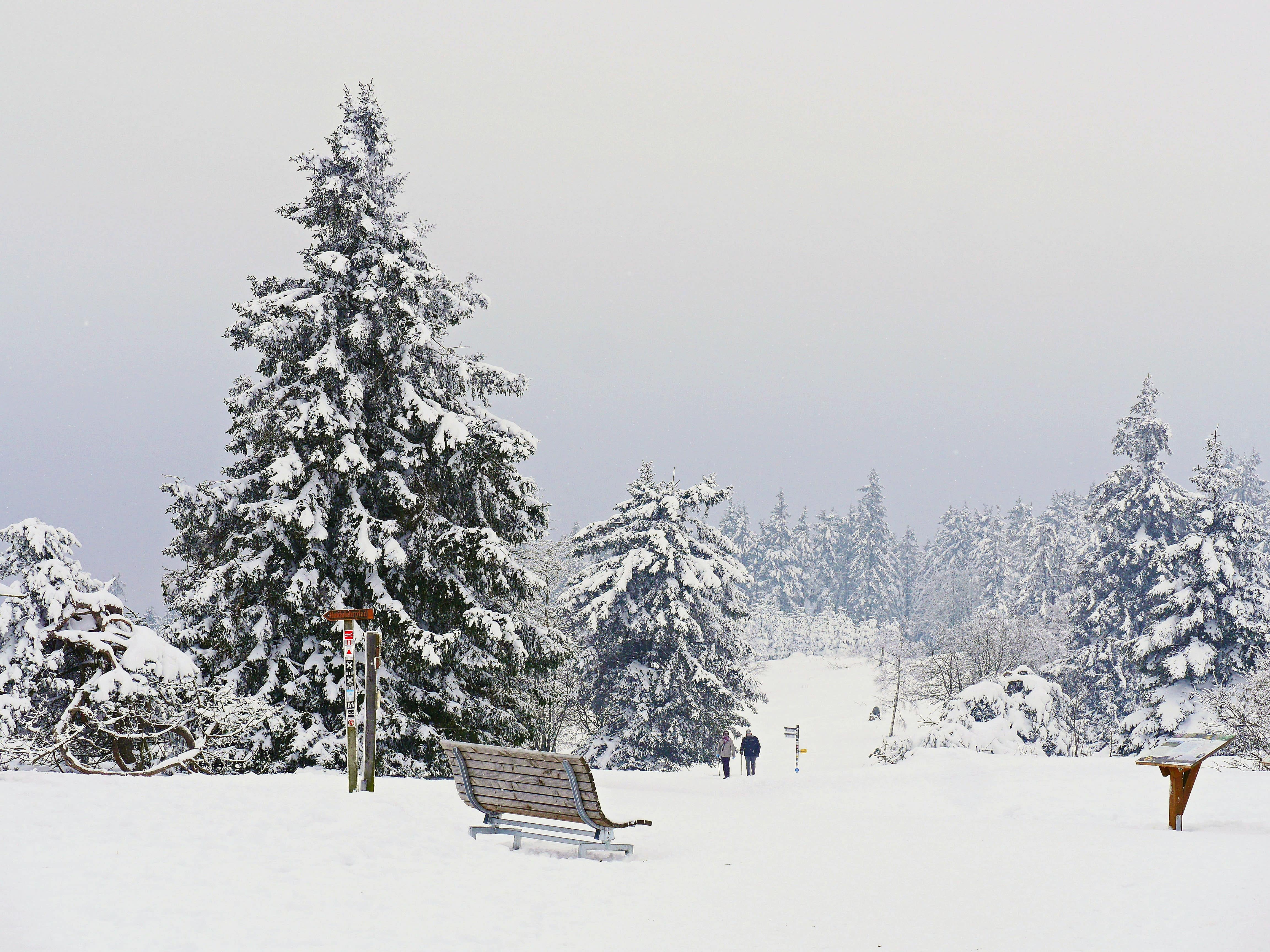 Ferienhaus in Winterberg – Sportmetropole im Hochsauerland