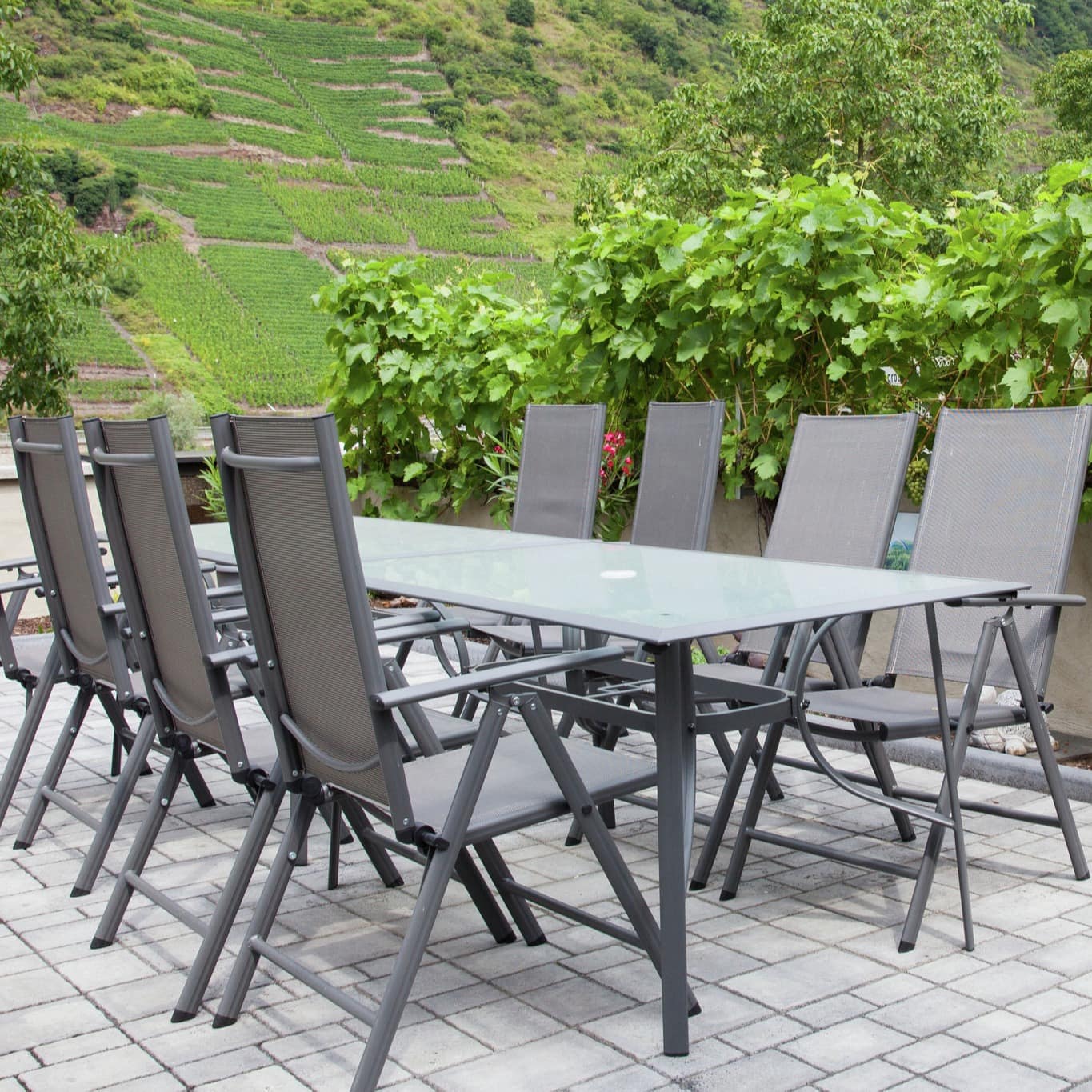 Blick von der Terrasse einer hundefreundlichen Ferienwohnung in Cochem auf die Weinberge