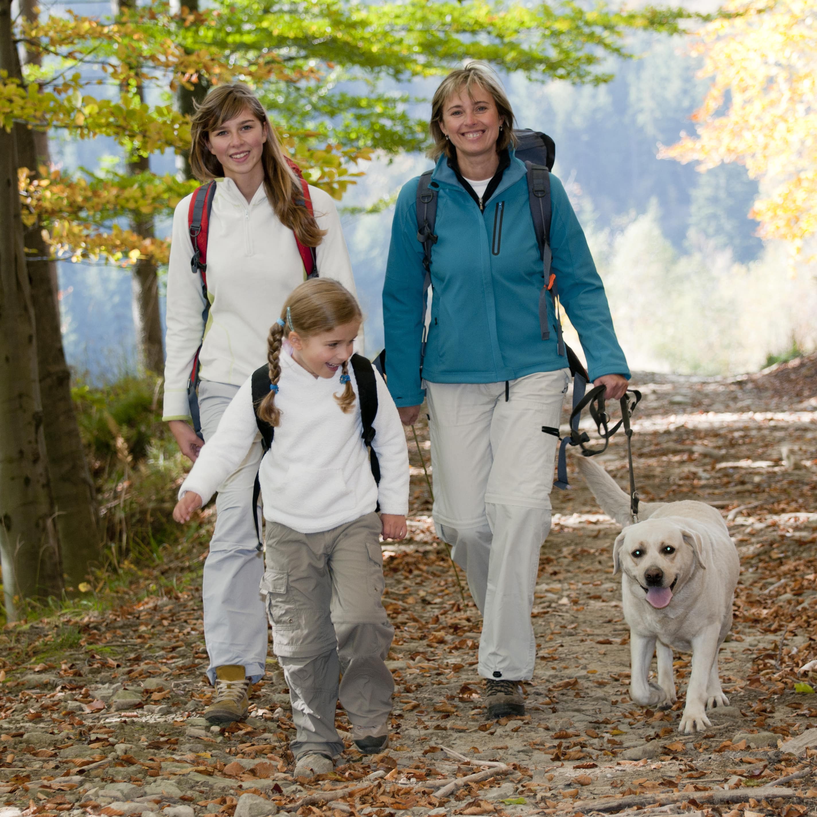 Mutter mit 2 Töchtern und einem Hund an der Leide auf einem Wanderweg im Wald. 
