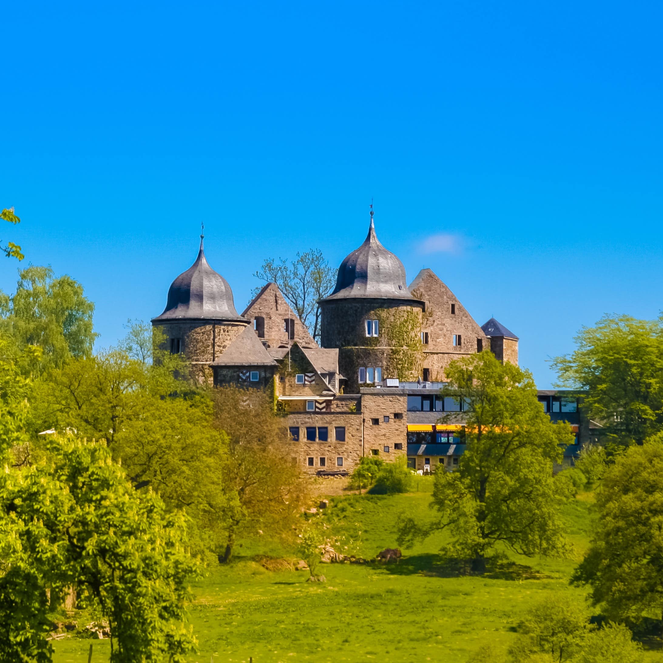 Blick zwischen grünen Bäumen auf die Sababurg bei strahlend blauem Himmel.
