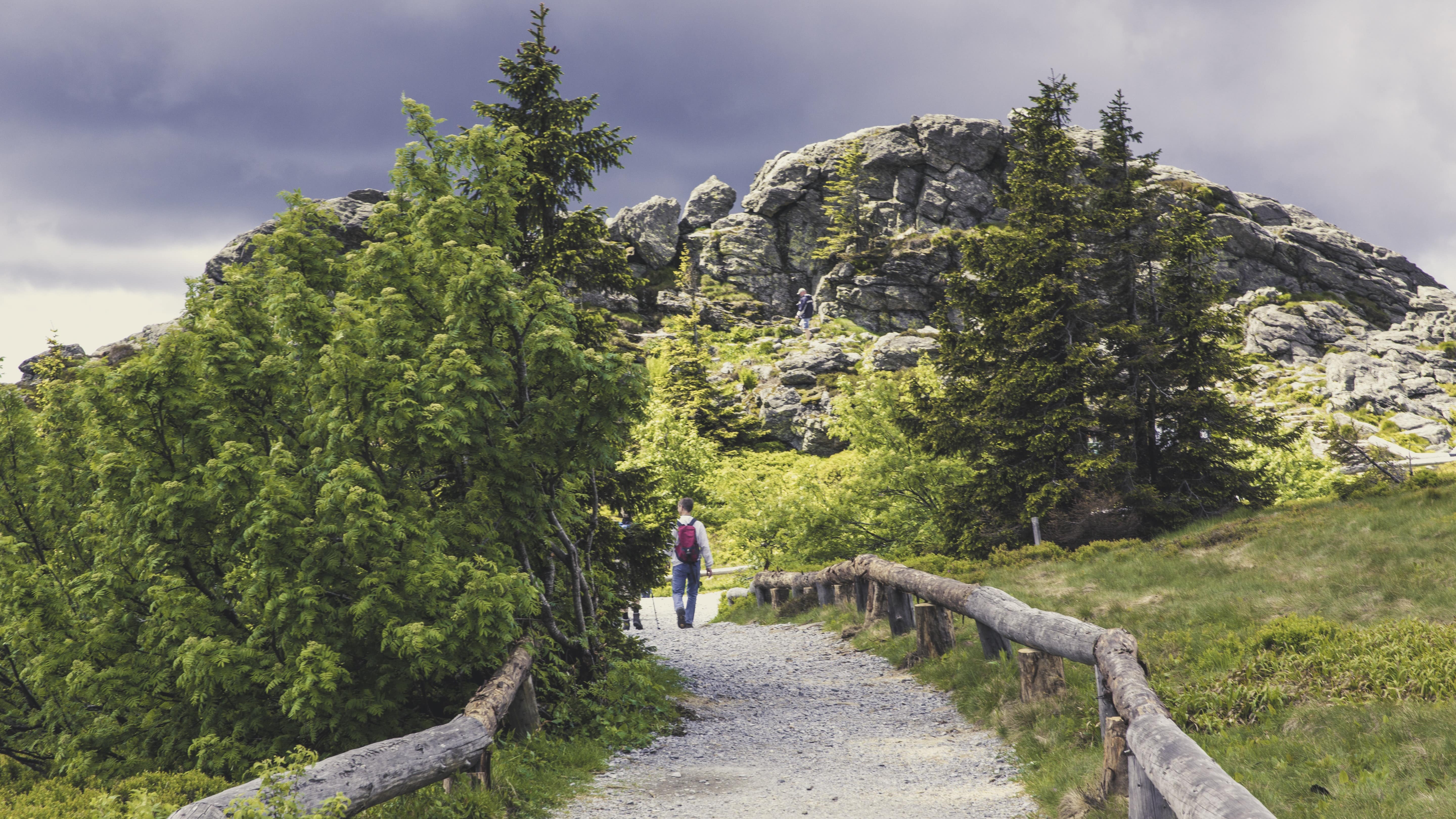 Im Kurzurlaub im Bayerischen Wald einfach das Leben genießen