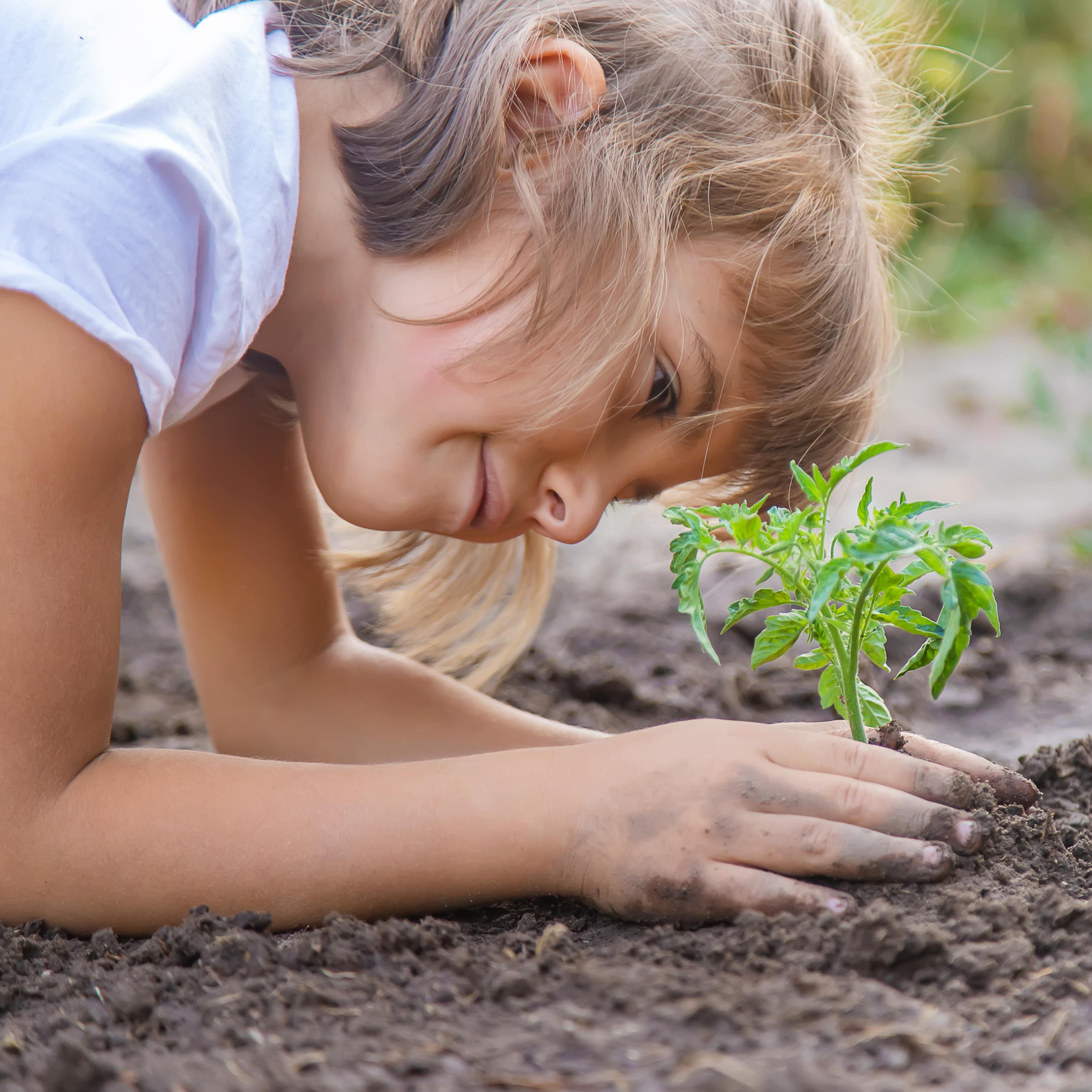Nahaufnahme: Ein Mädchen hockt auf dem Boden und pflanzt eine grüne Pflanze.
