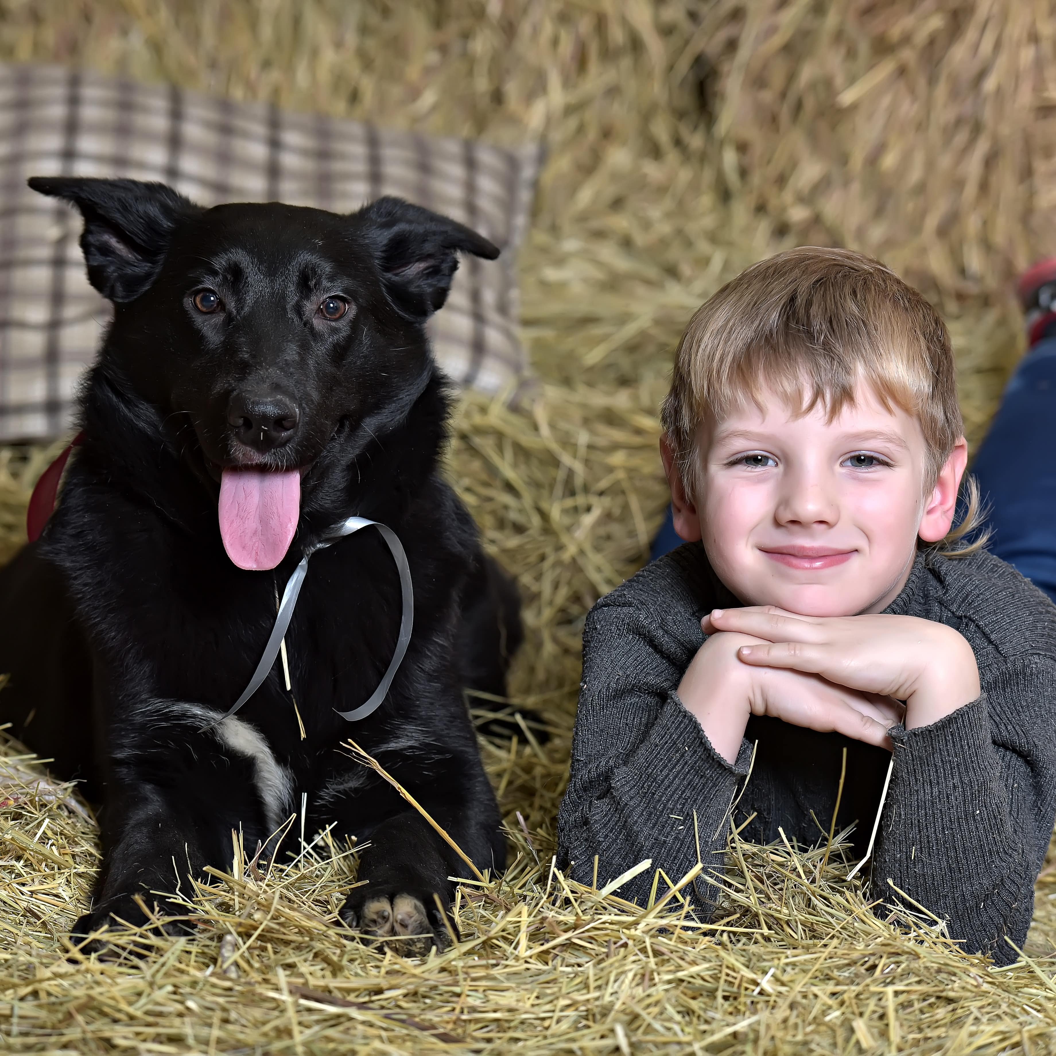 Ein Junge und ein Hund liegen auf dem Heuboden.